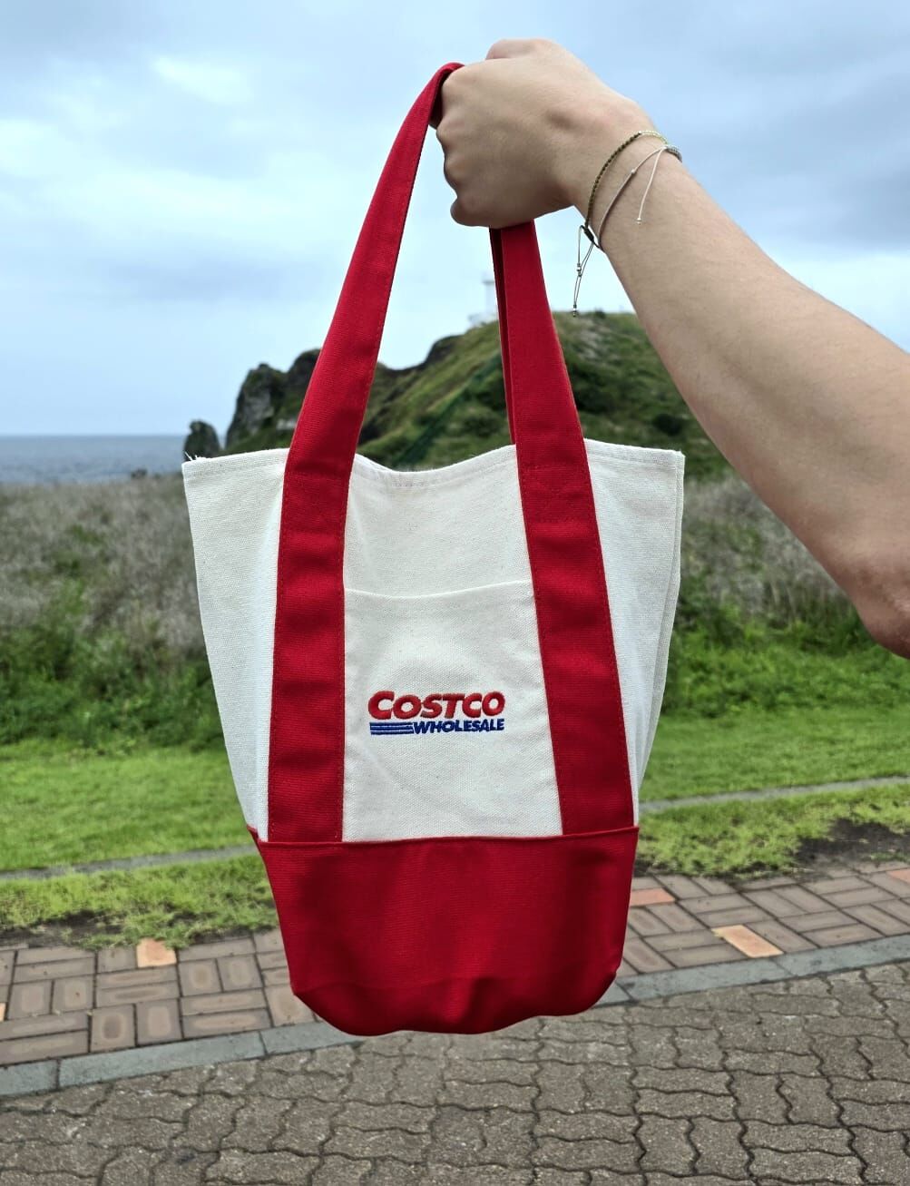 【直播】LL071703 COSTCO 環保袋套裝 (1藍1紅)