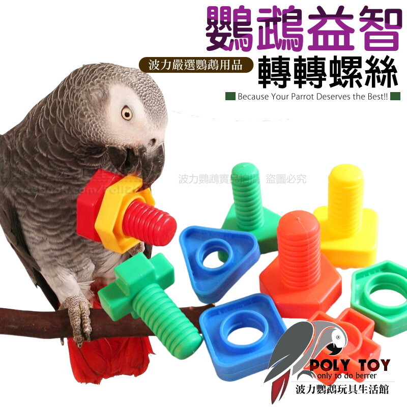 鸚鵡益智轉轉螺絲 鸚鵡腳下玩具 波力鸚鵡玩具生活館