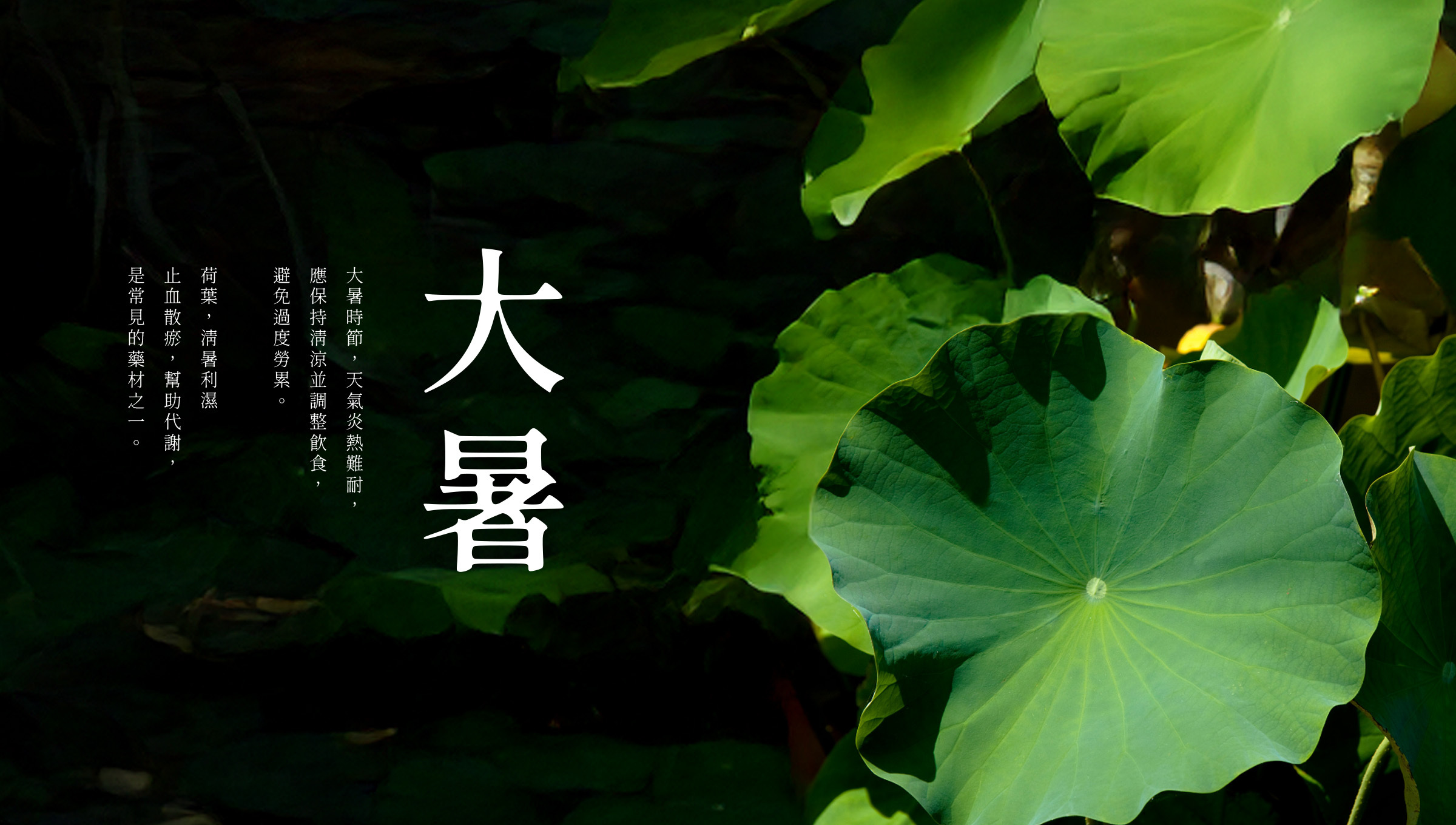 2025大暑節氣濕悶難耐，大暑由來與3種習俗，帶你了解24節氣中最熱時節