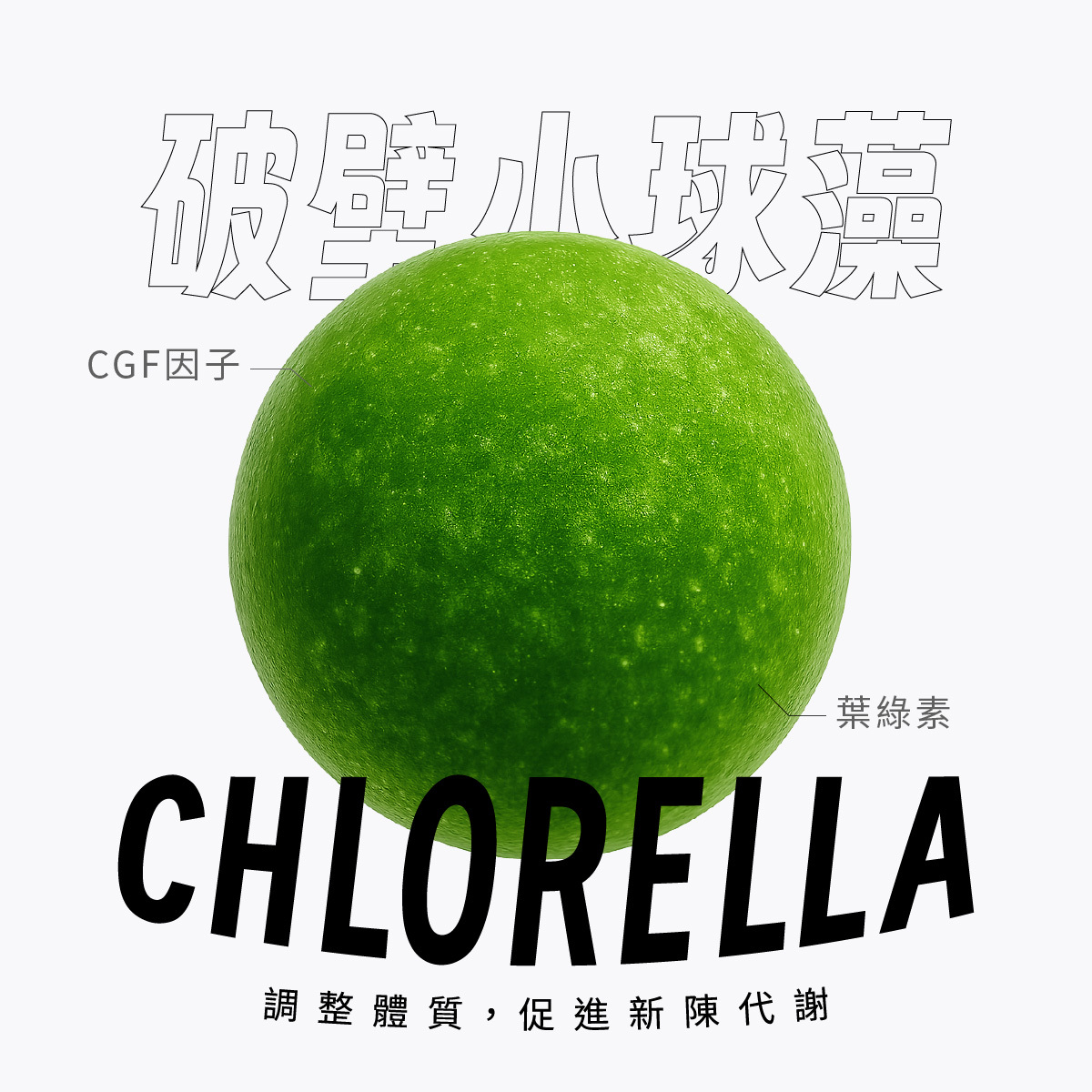 搭配綠藻破壁小球藻，幫助調整體質，促進新陳代謝使排便順暢！