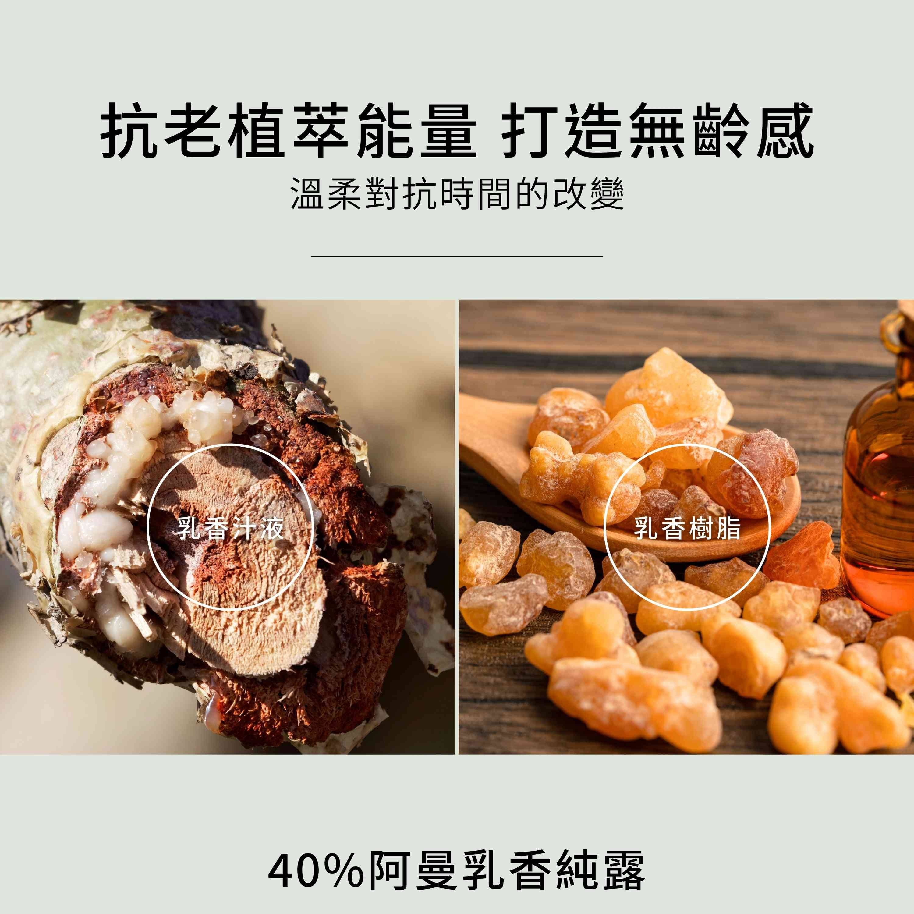 乳香雙效保濕霜含3大抗老植萃能量,包含40%阿曼乳香純露