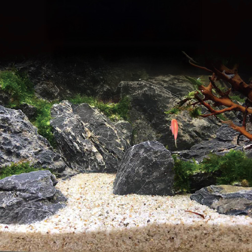青龍石水族造景石｜魚缸水草缸造景推薦- 養魚治百病