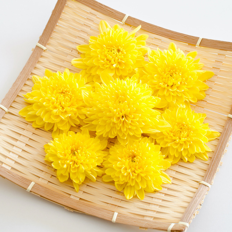 食用花-こぎく小菊