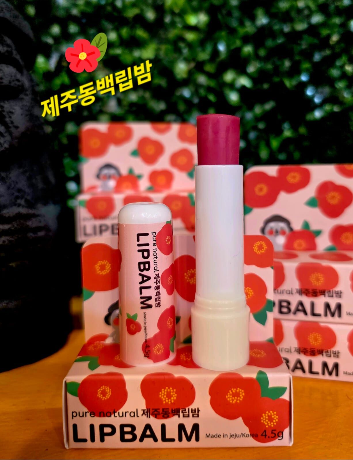 【直播】濟州天然成分 LL071706 Gosarison 潤唇膏