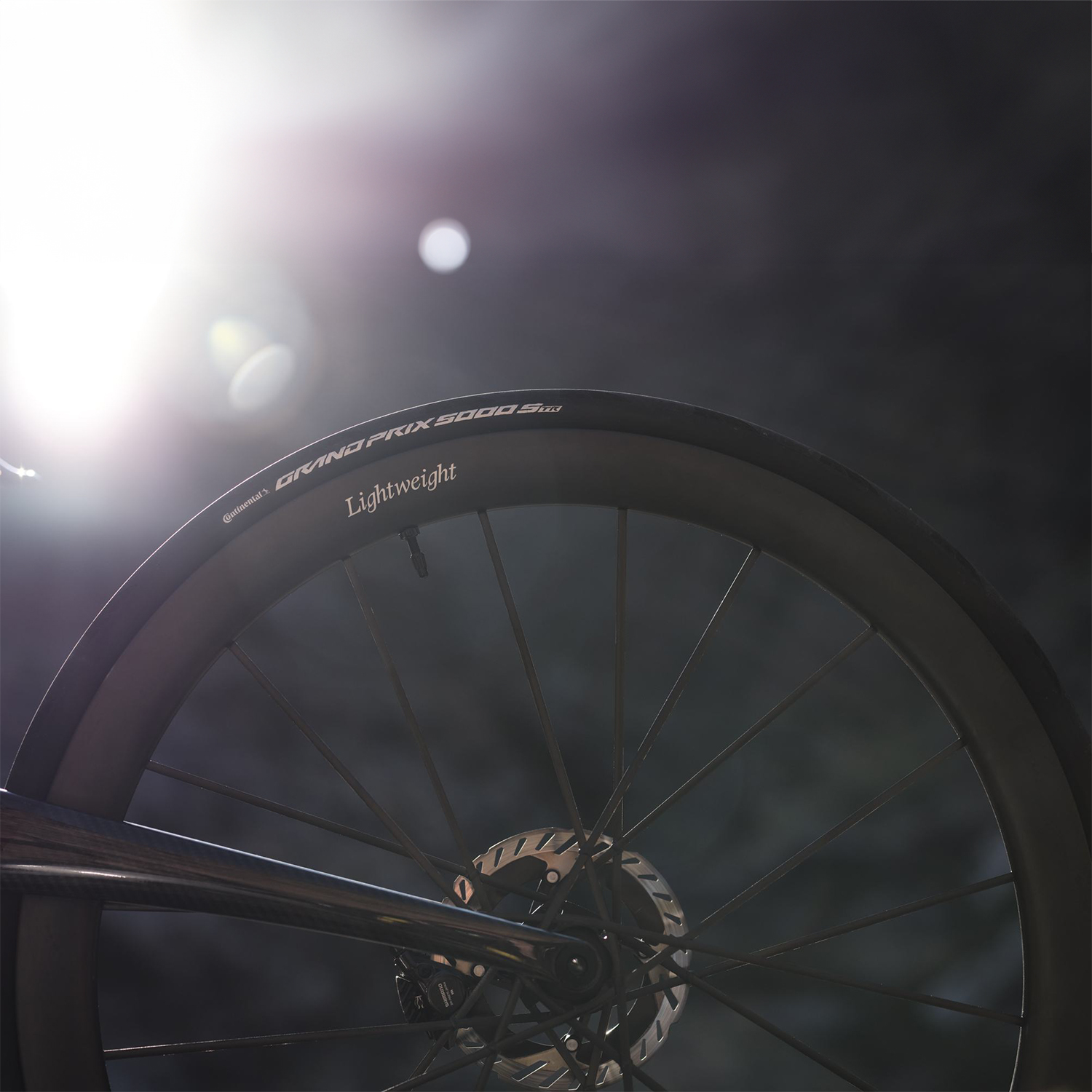 Lightweight MEILENSTEIN ART Carbon Wheelset