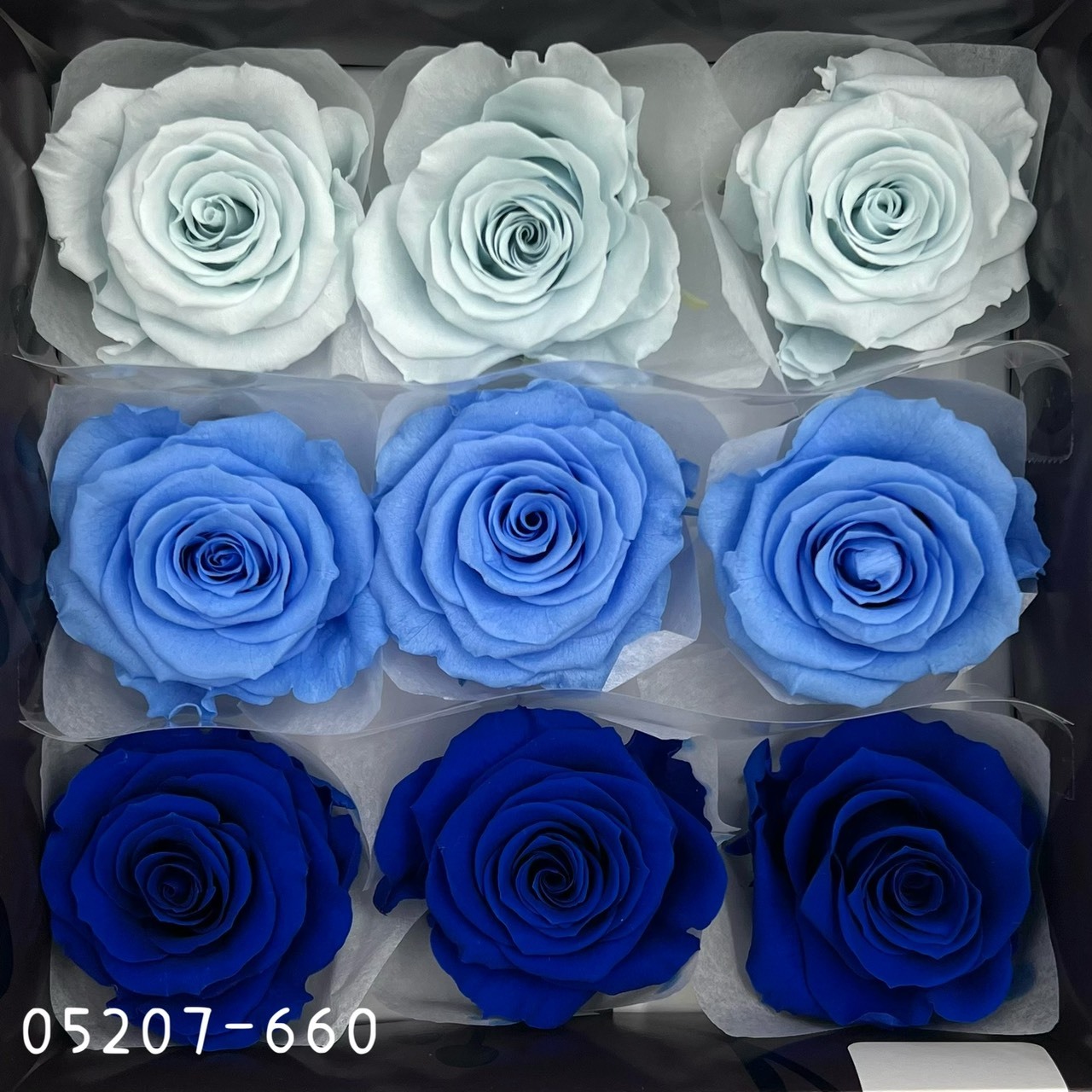 日本不凋大輪玫瑰(M-9朵) 05207-660