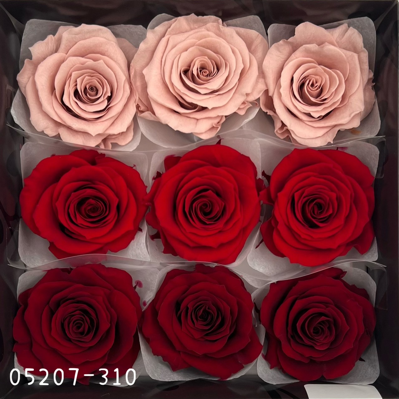 日本不凋大輪玫瑰(M-9朵) 05207-310