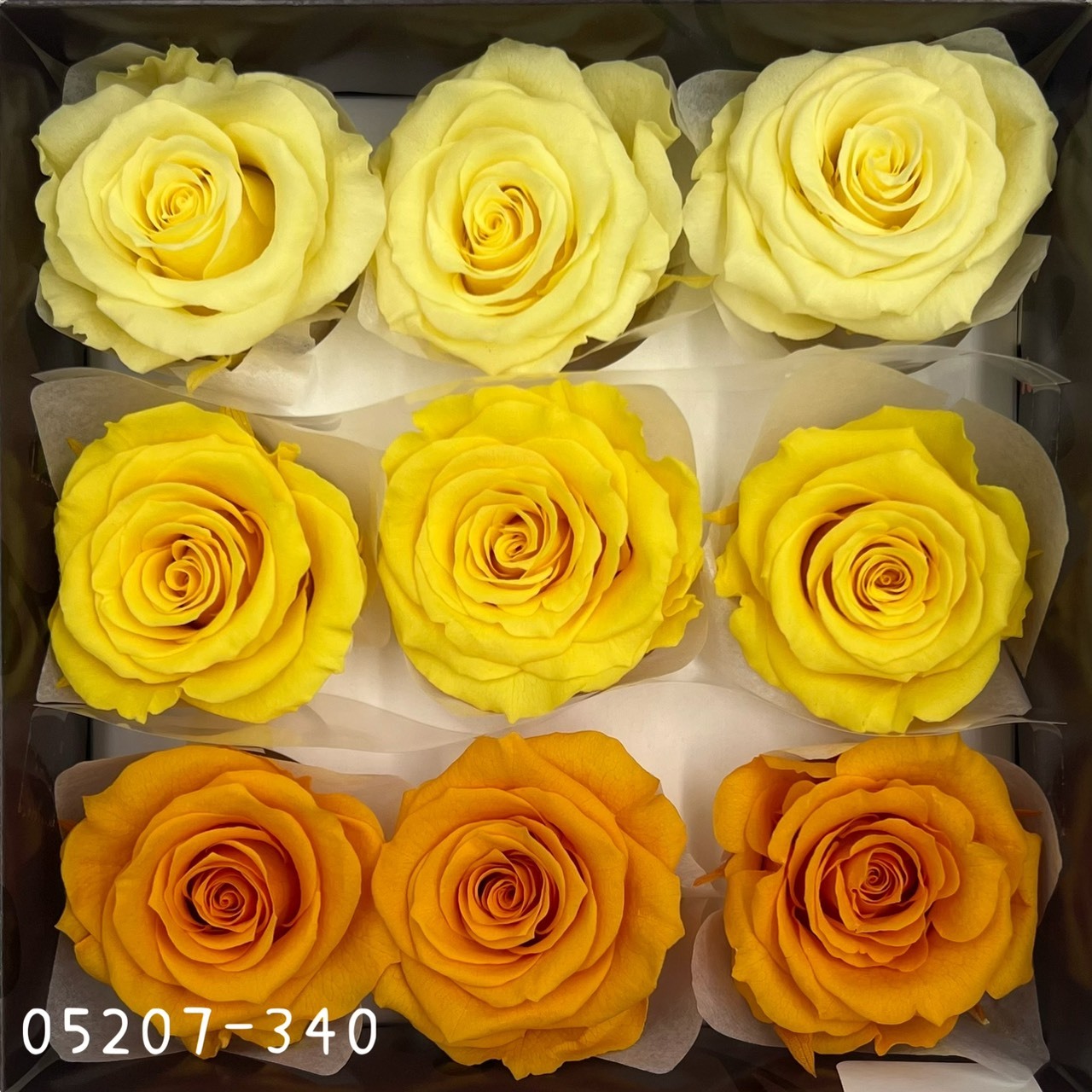 日本不凋大輪玫瑰(M-9朵) 05207-340