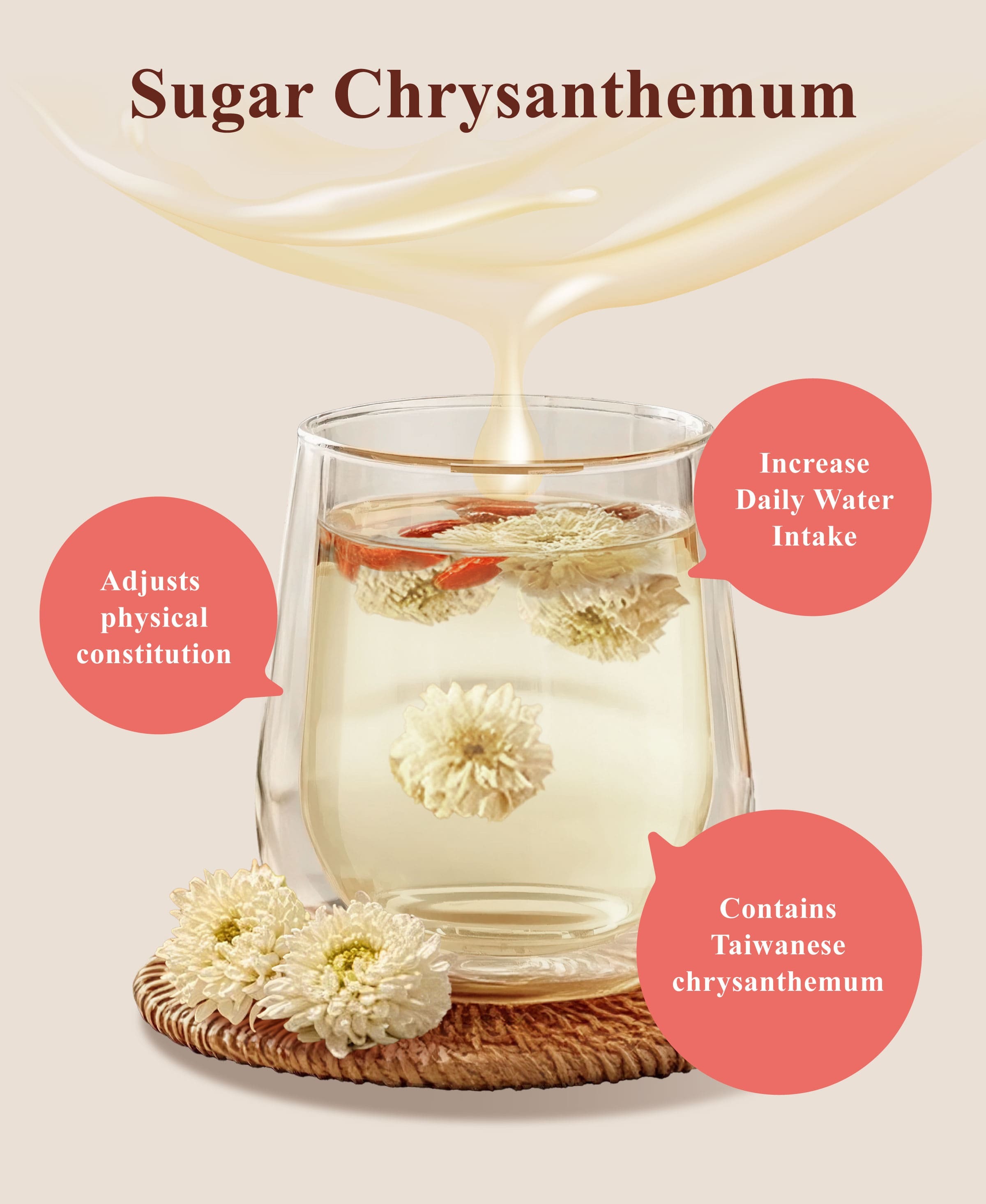 Dengyi Sugar Chrysanthemum Features