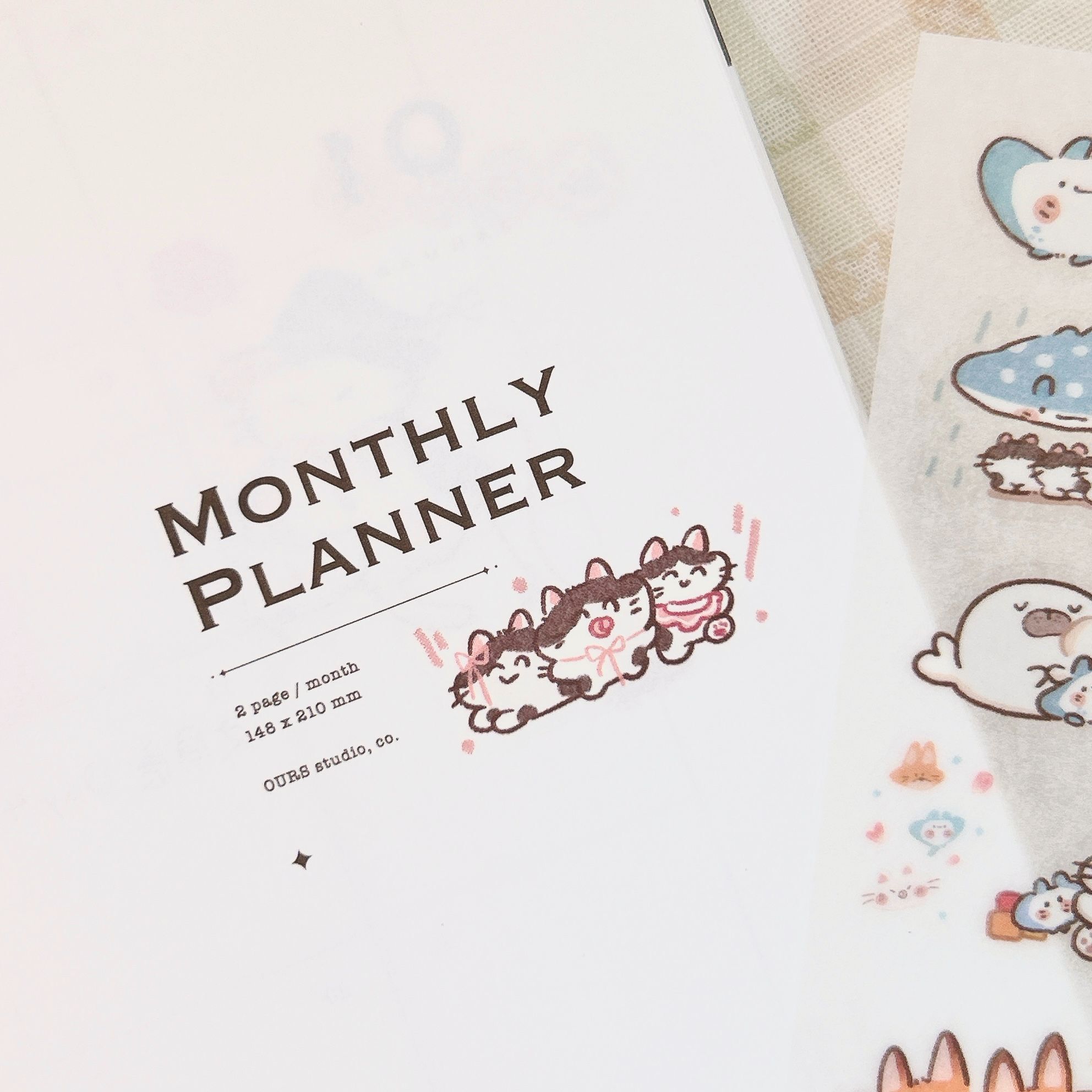 魚餅一隻熊｜大家都是好寶寶 轉印貼紙