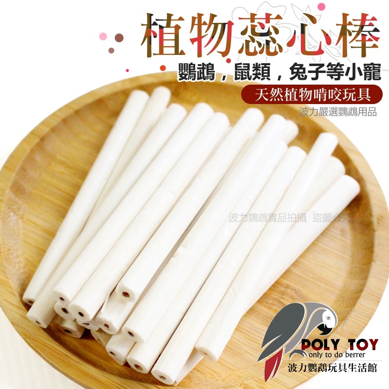 植物蕊心棒 天然植物啃咬玩具 撕咬消遣 啃咬玩具食品 波力鸚鵡玩具生活館