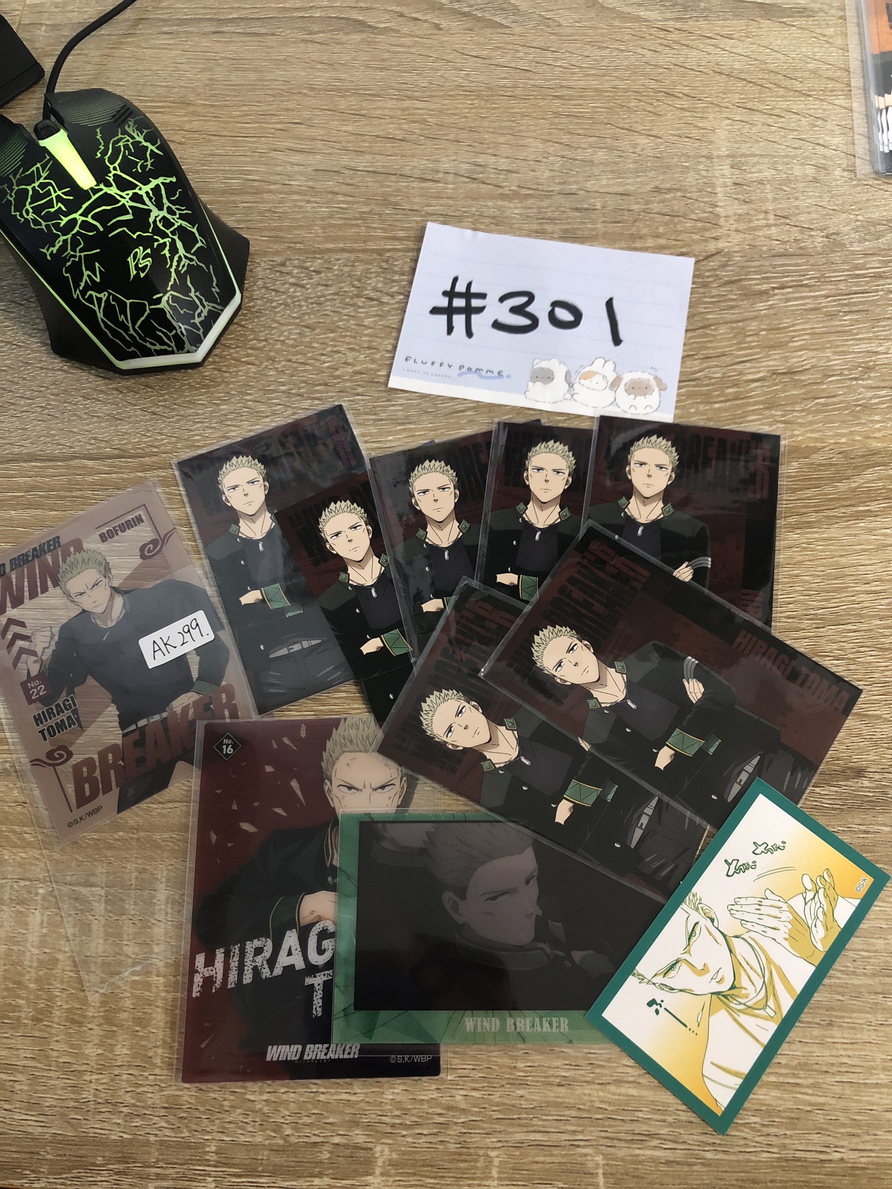 WIND BREAKER AK299  SET#301