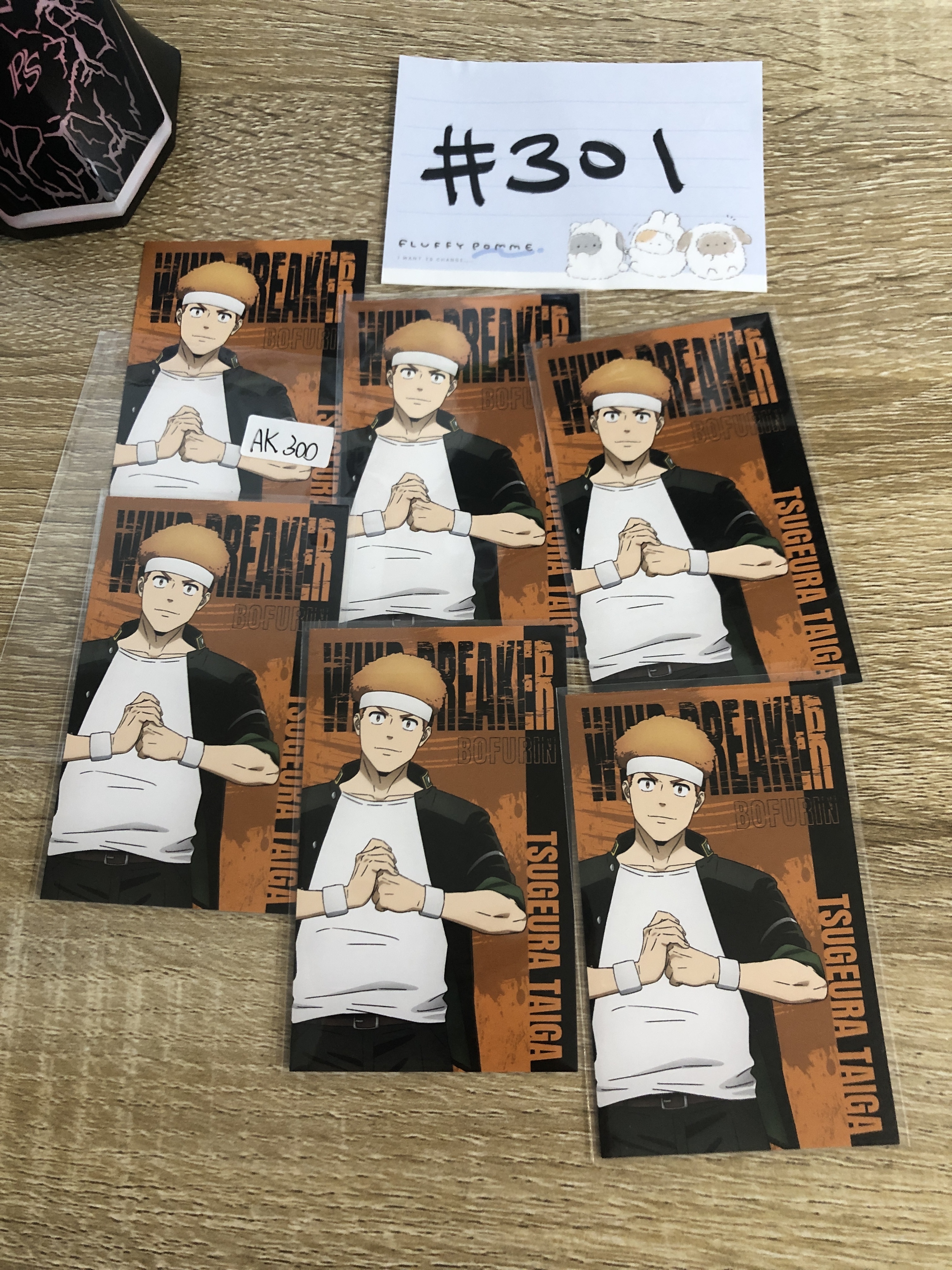 WIND BREAKER AK300 SET#301