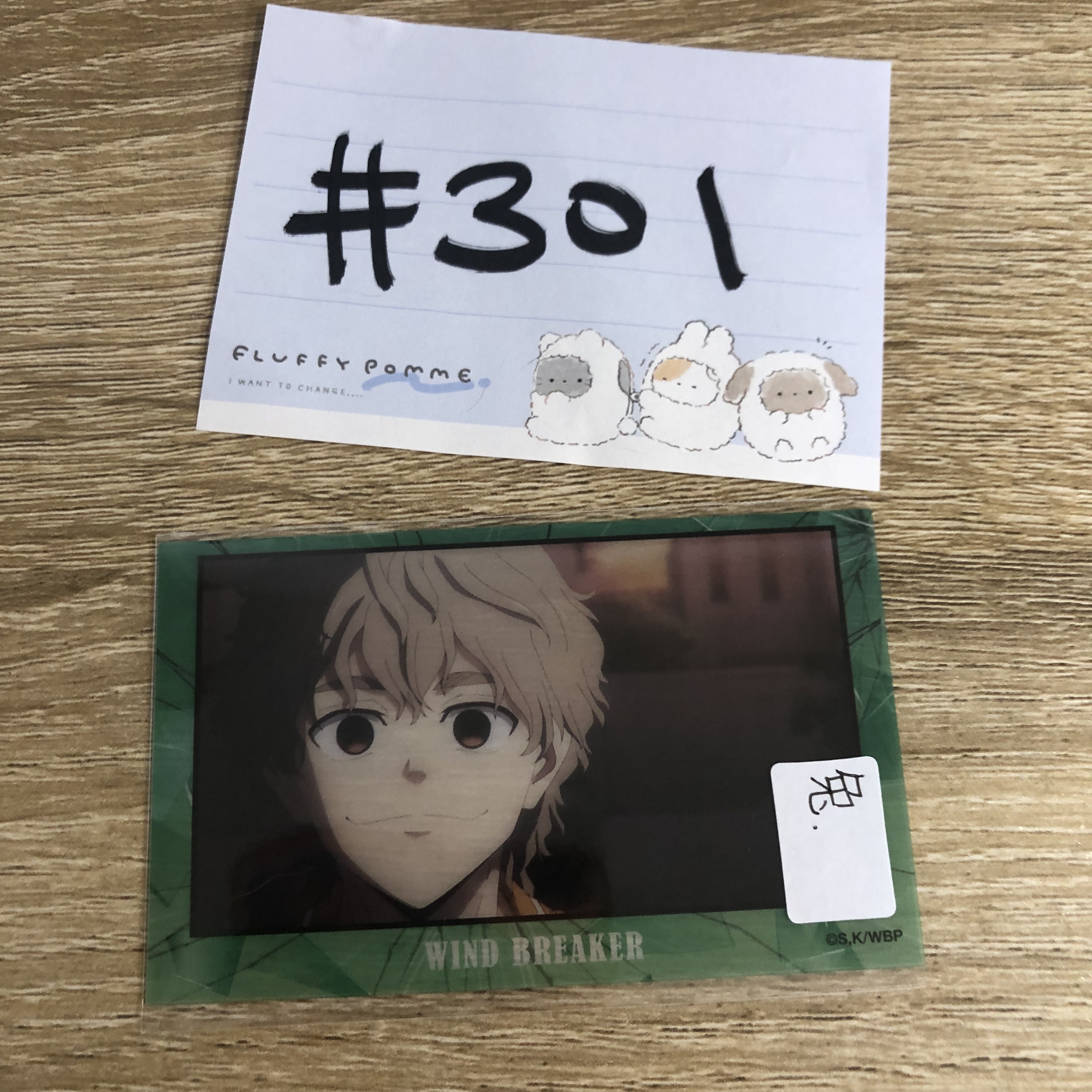 WIND BREAKER  兔耳山 小卡#301