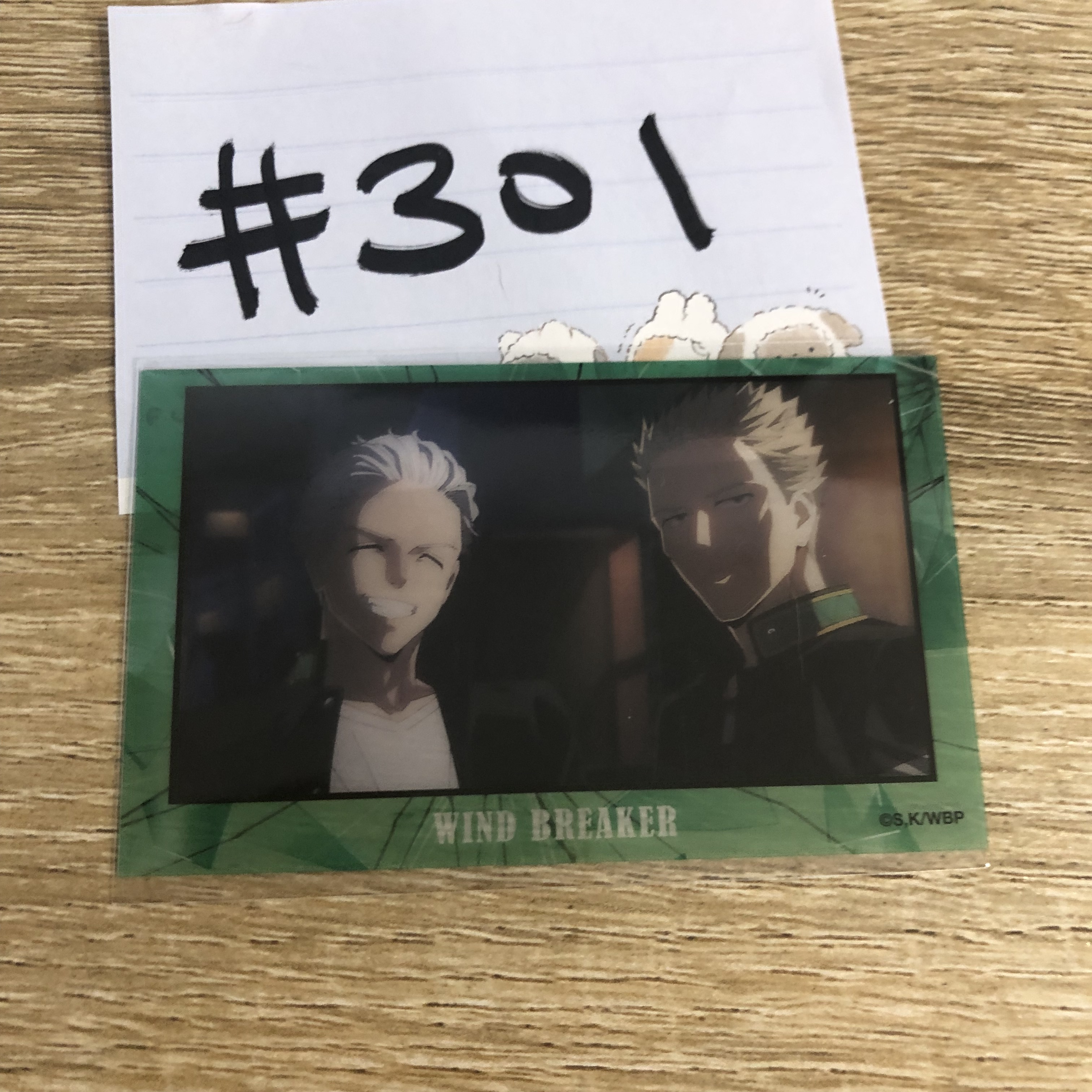 WIND BREAKER  小卡#301