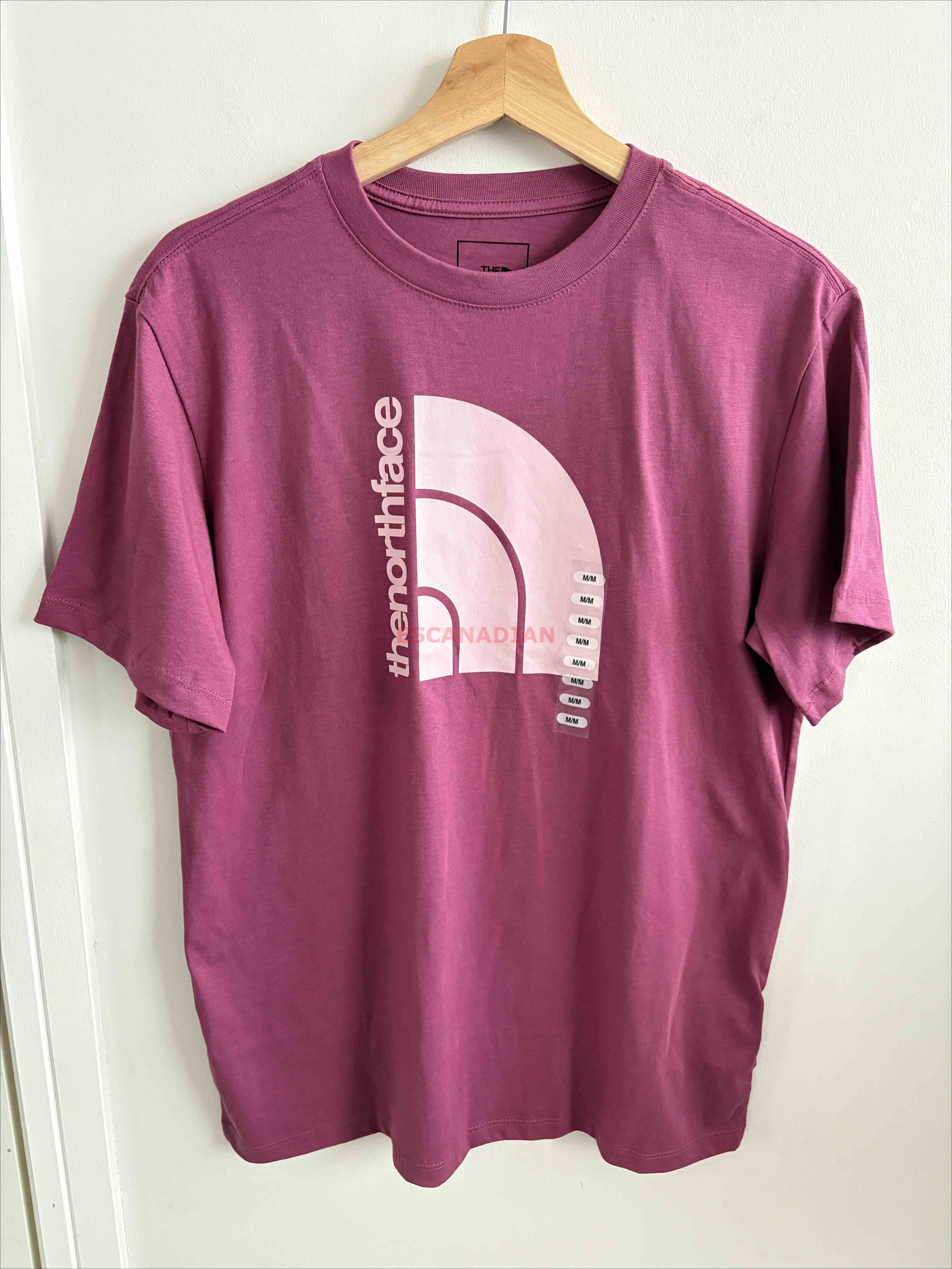 THE NORTH FACE 女大人 圖案 短TEE  (2色)