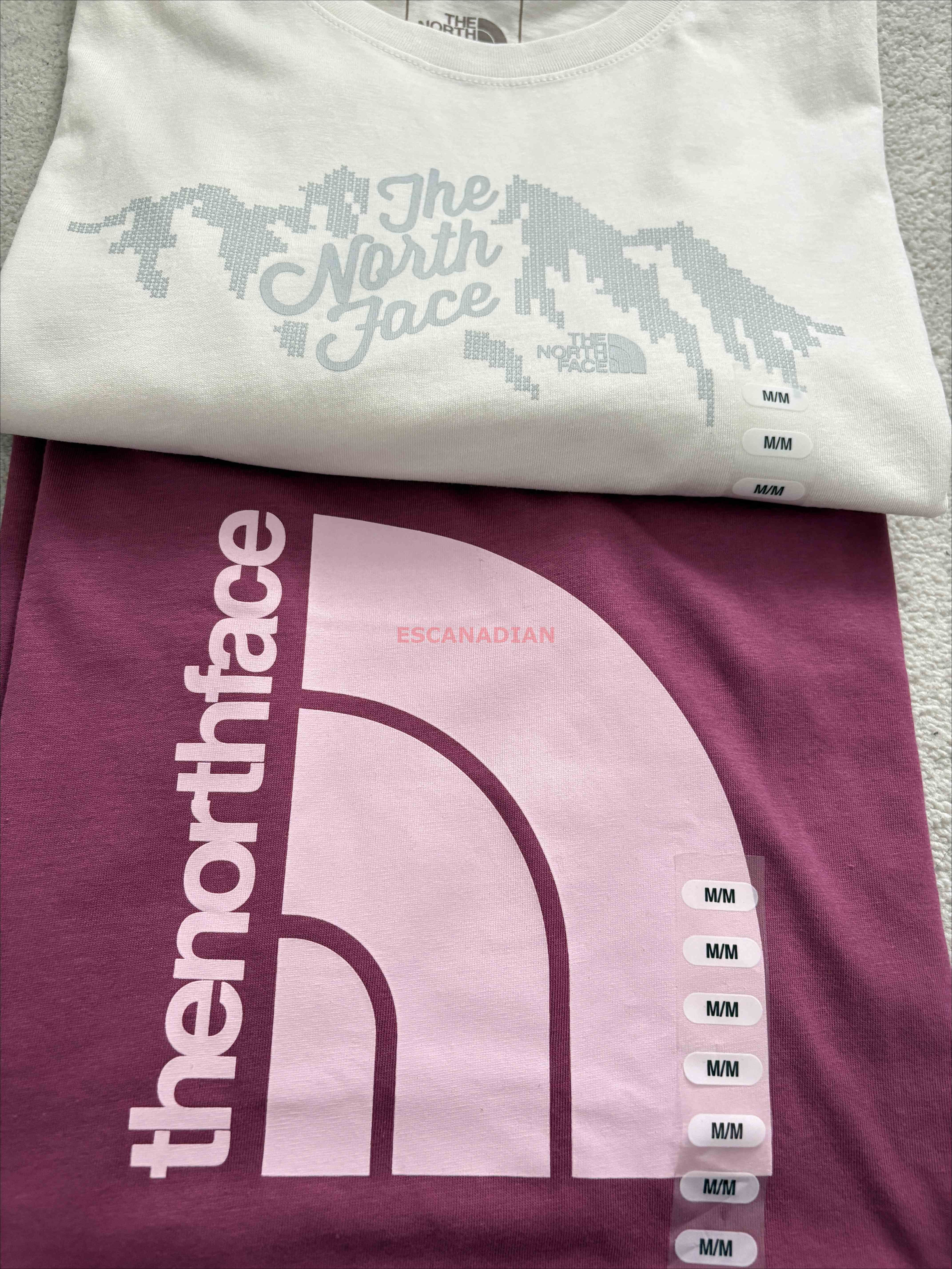 THE NORTH FACE 女大人 圖案 短TEE  (2色)