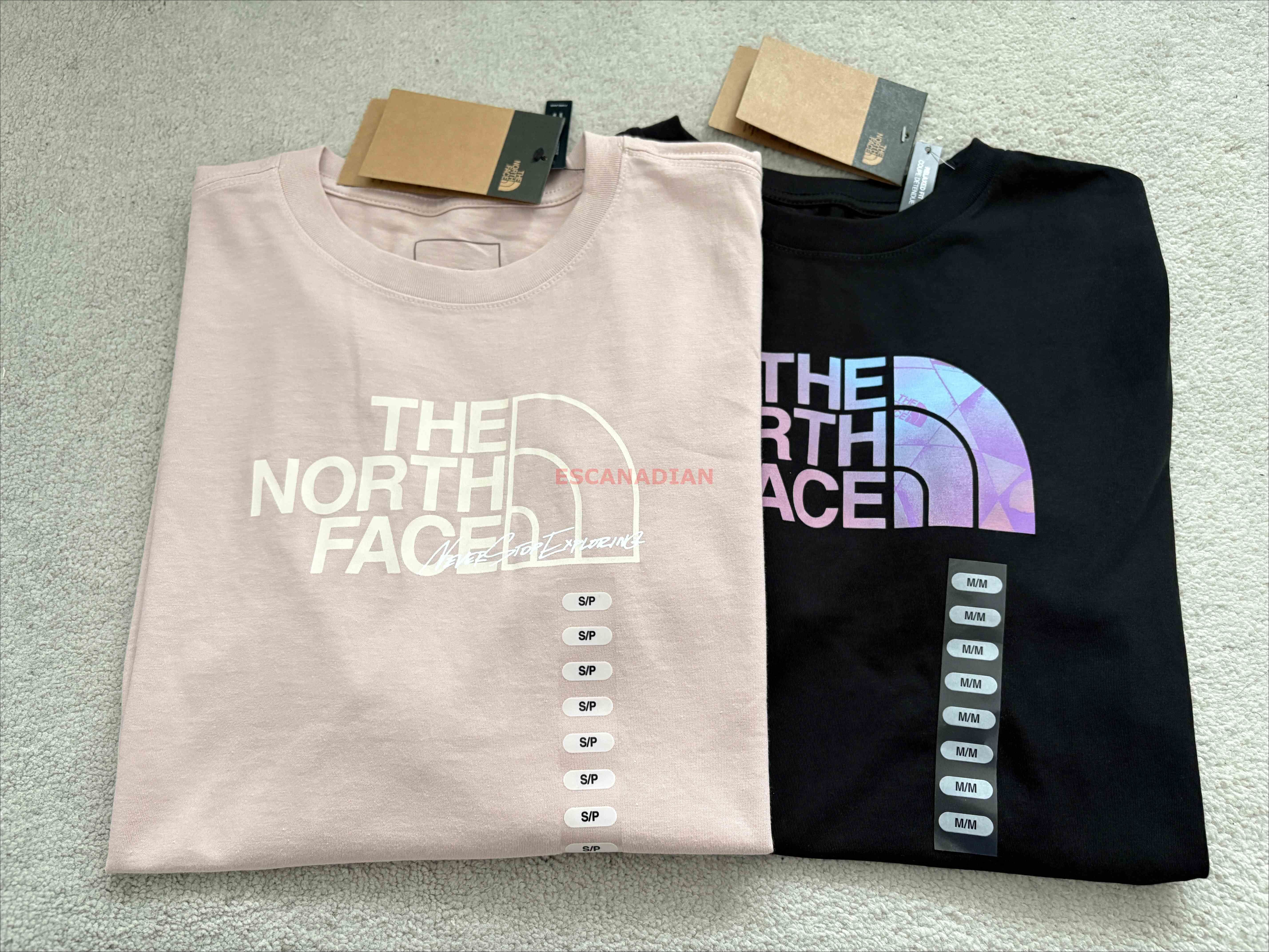 THE NORTH FACE 女大人 造型半山圖案 短TEE  (2色)