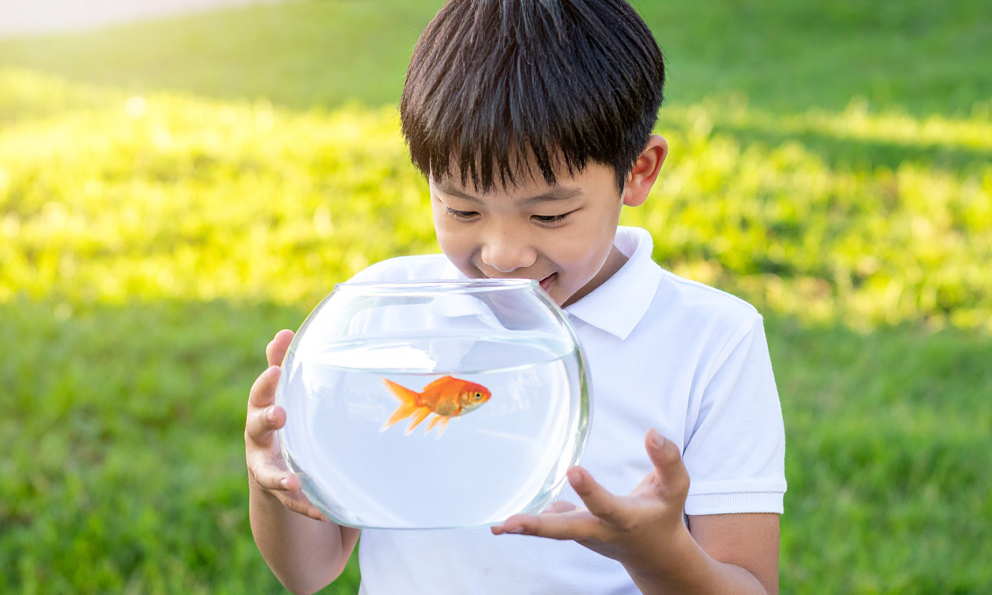 家中有小朋友的家庭，讓孩子參與養魚的過程，不僅能培養愛心和責任感，也能學習到基本的生物知識。從選擇魚種、了解魚類習性，到維護水質，都是很好的自然教育