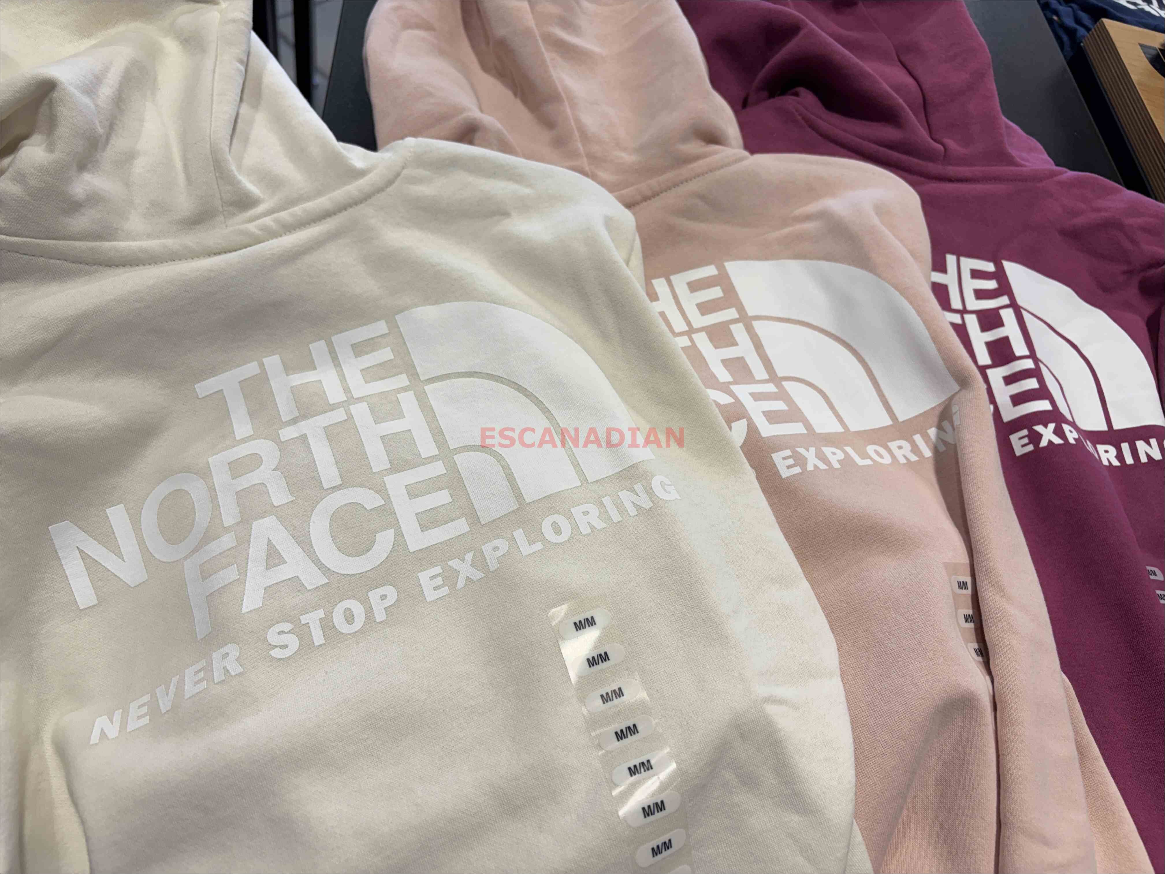 THE NORTH FACE 女大人 經典正反LOGO 刷毛 帽TEE (前小後大) (3色)