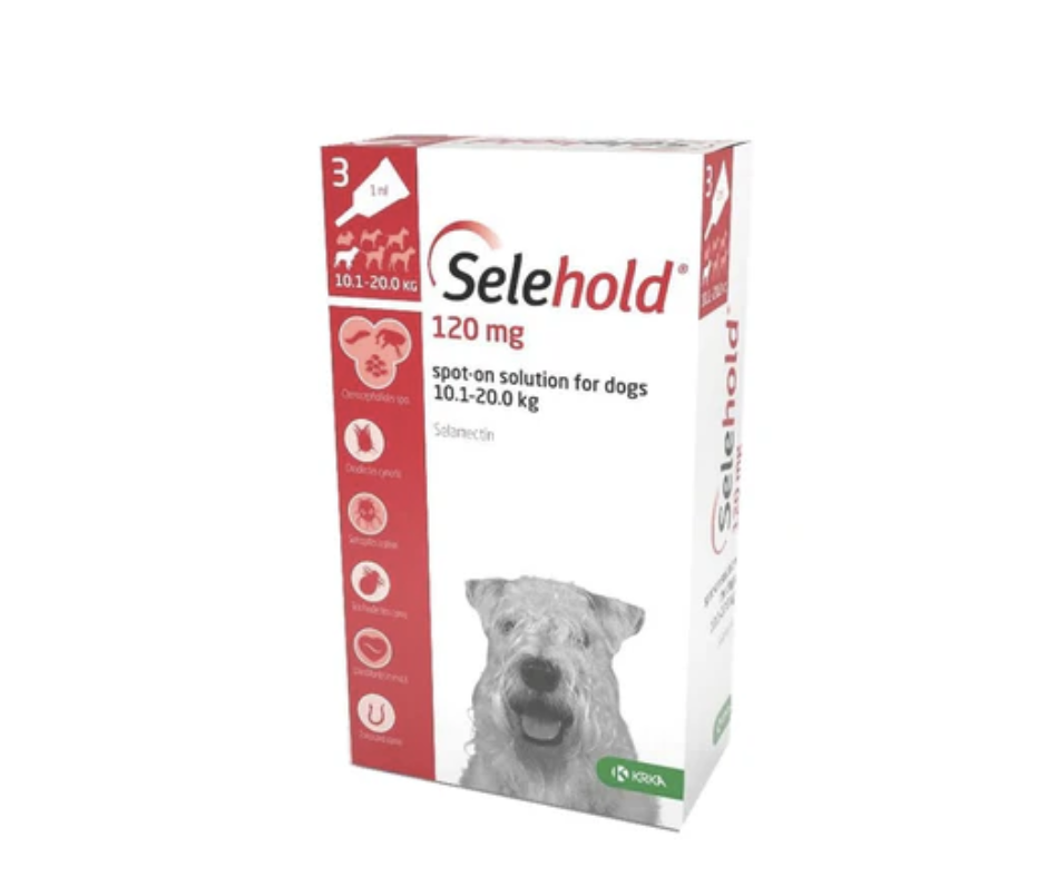 Selehold -預防寄生蟲滴劑 (3支裝) Medium Dogs (10.1 - 20kg)