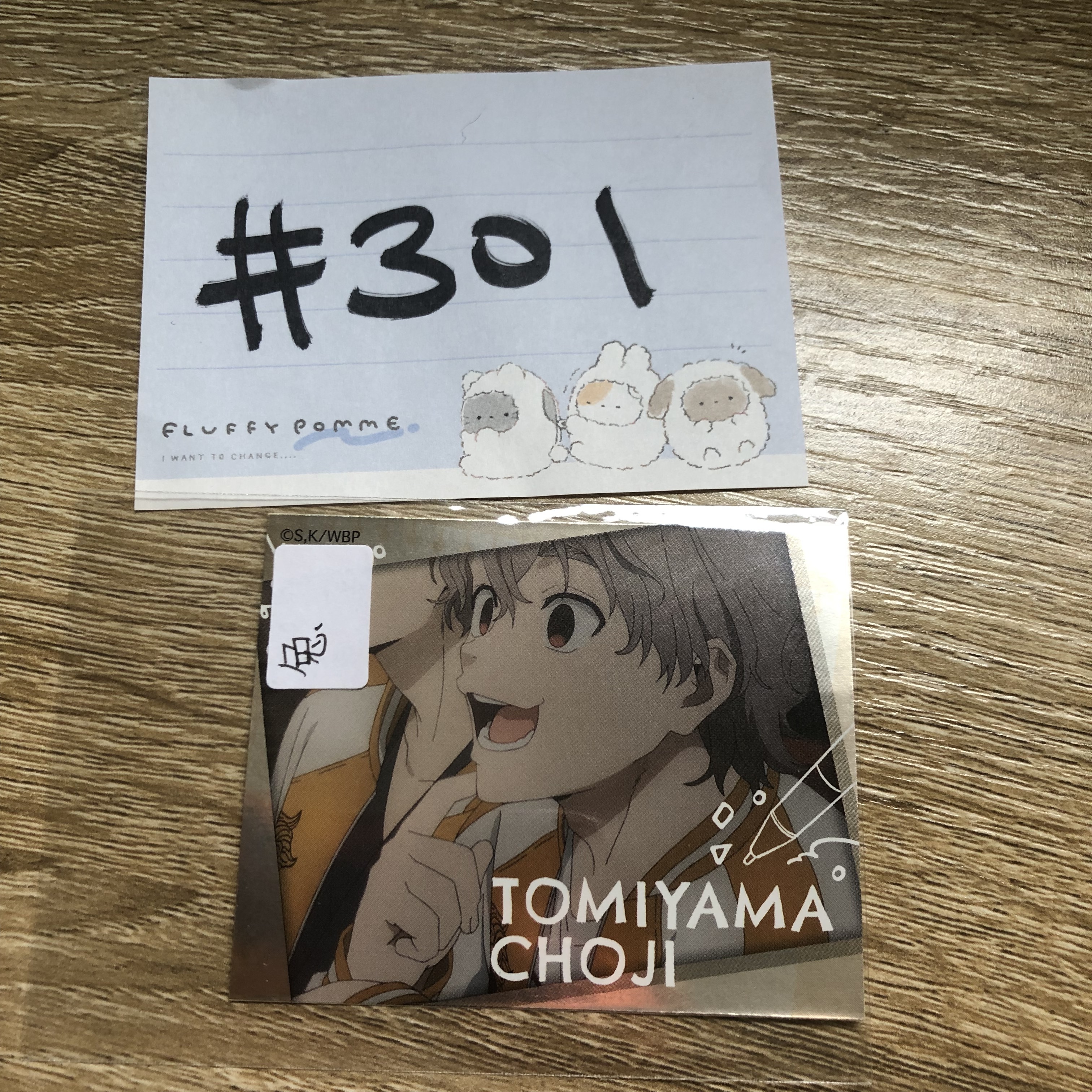 WIND BREAKER 兔耳山 貼紙#301