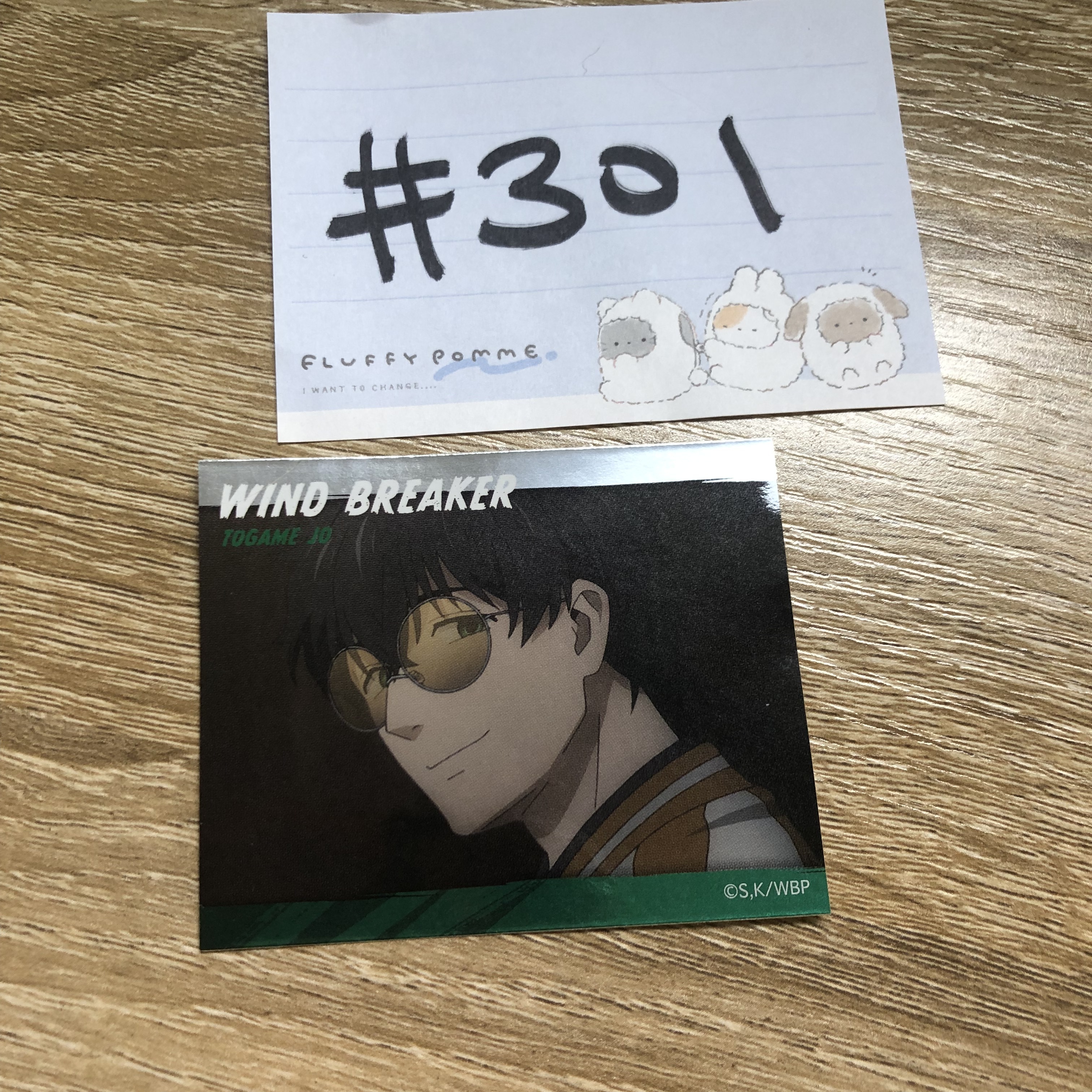 WIND BREAKER 十龜 貼紙#301