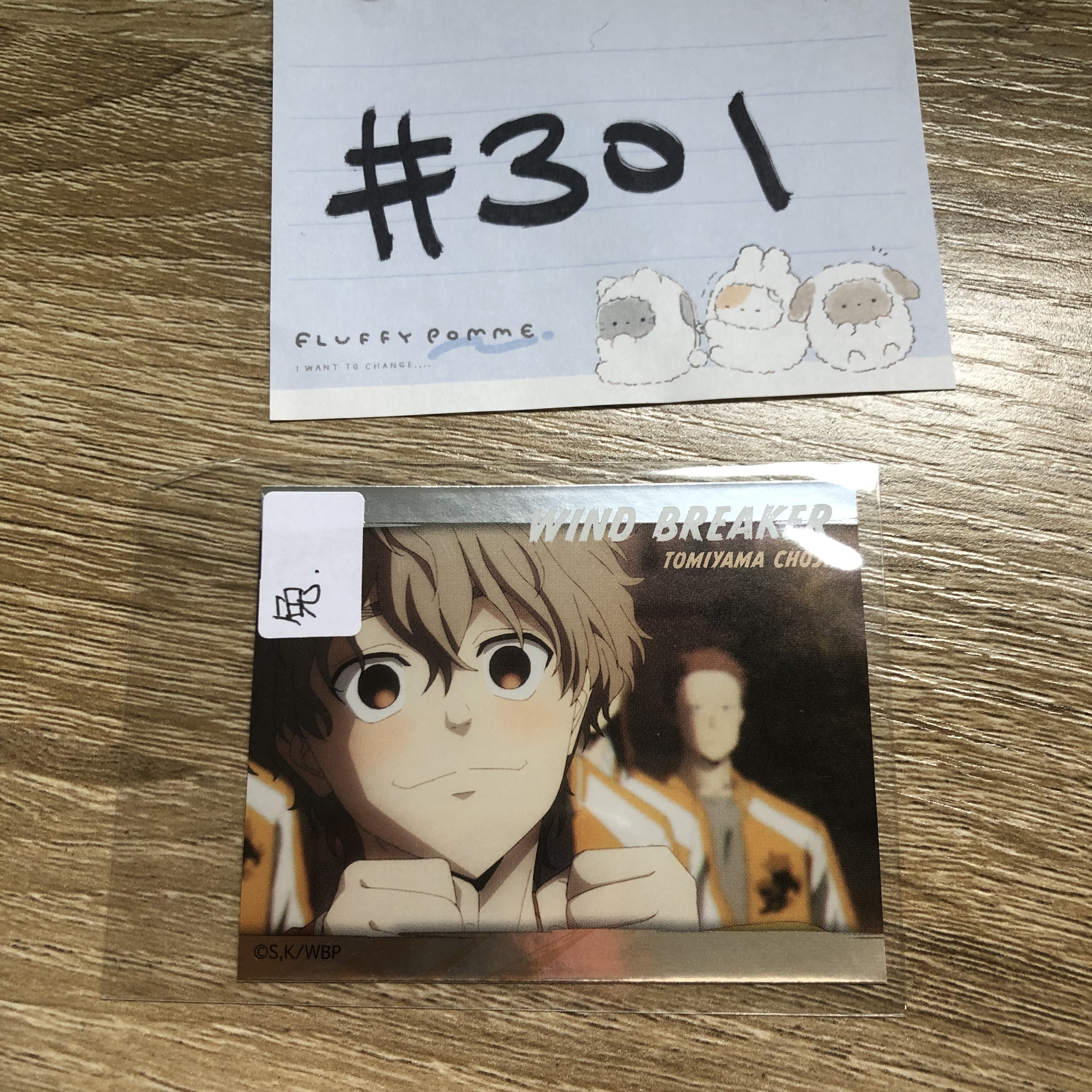 WIND BREAKER 兔耳山 貼紙#301
