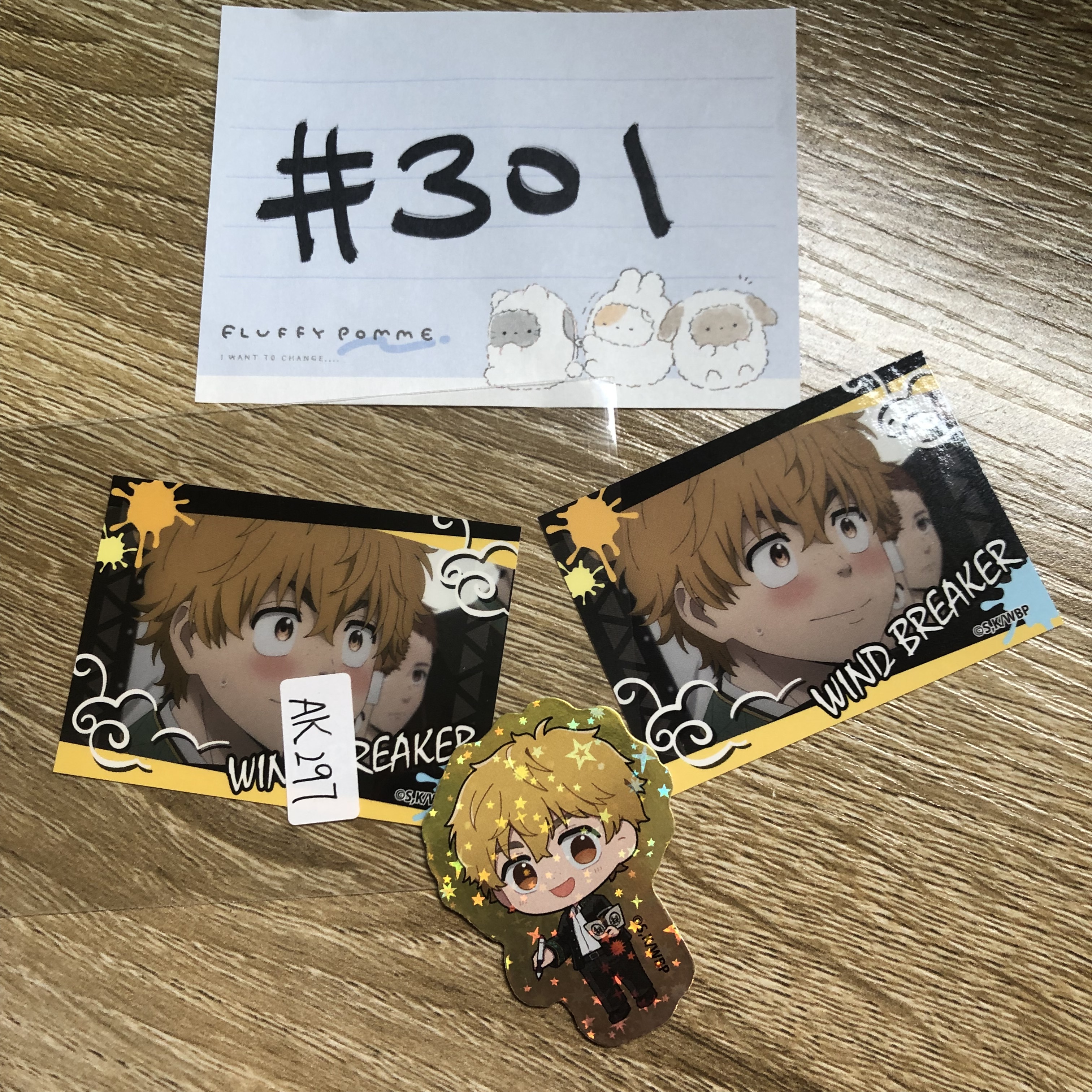 WIND BREAKER AK297 SET#301