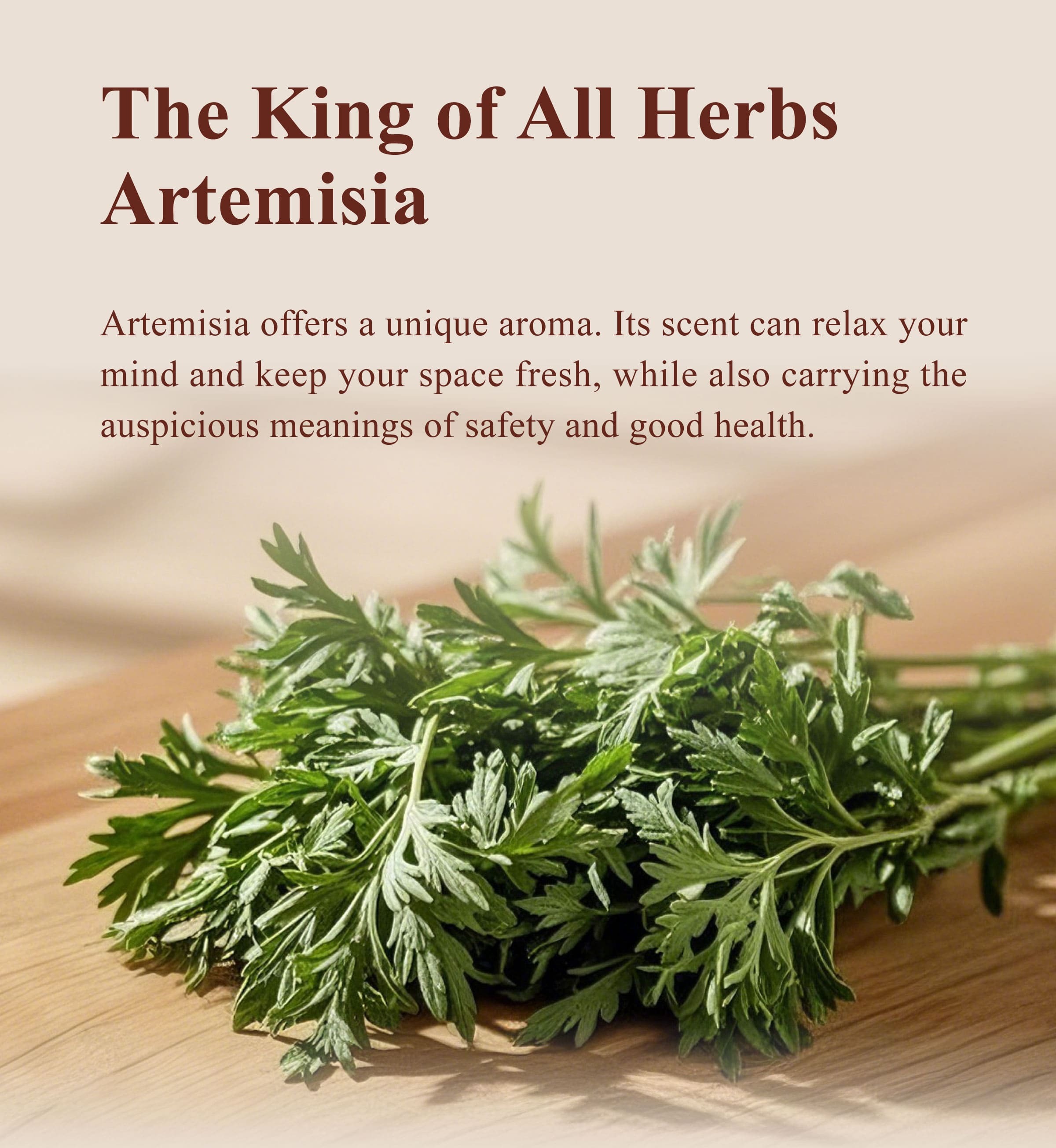 Introduction of Dengyi Artemisia