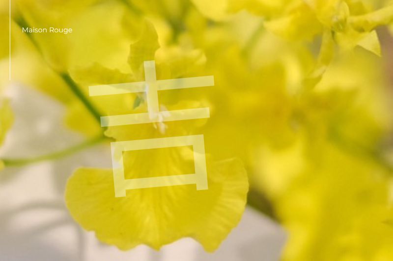 文心蘭風水