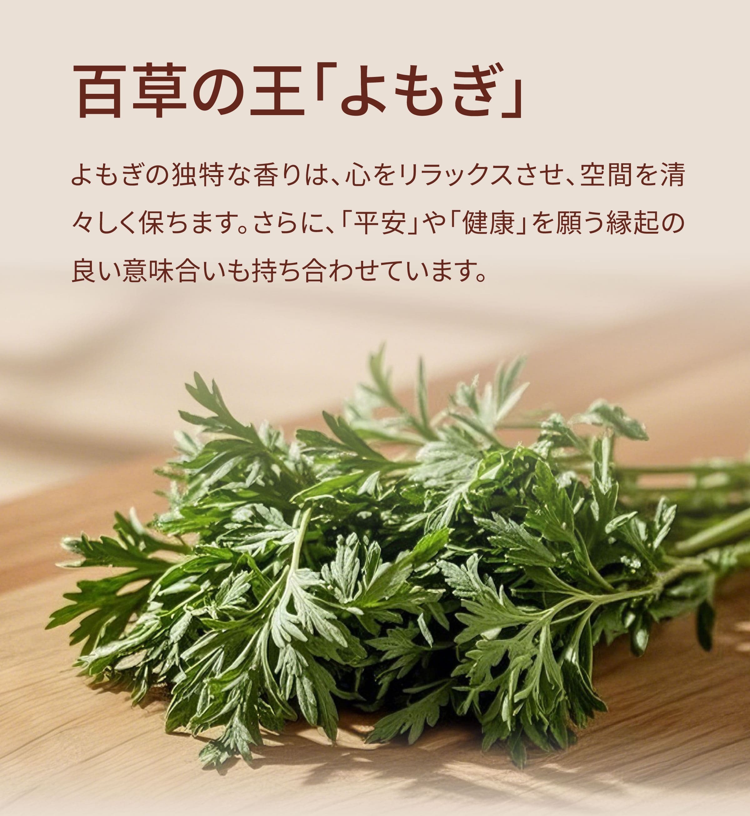 Dengyi よもぎ の紹介