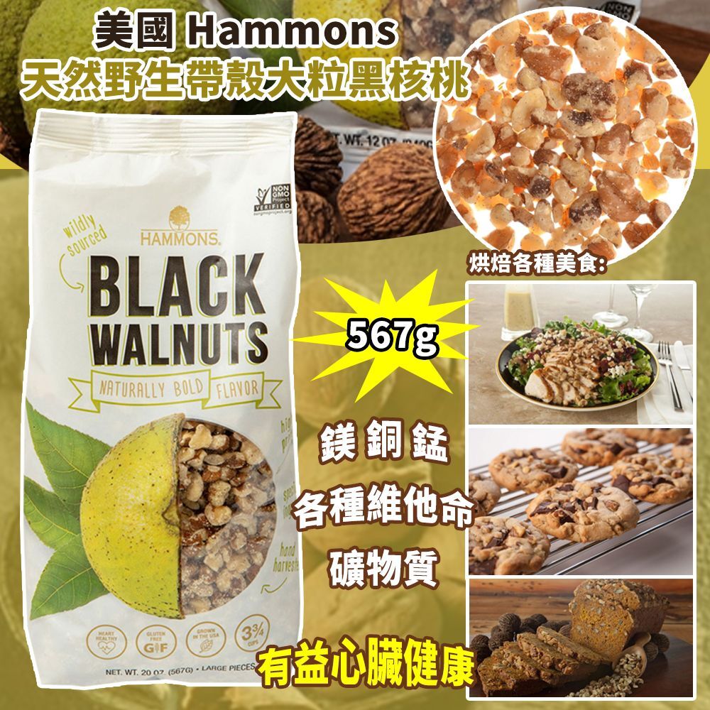 美國 Hammons 天然野生帶殼大粒黑核桃