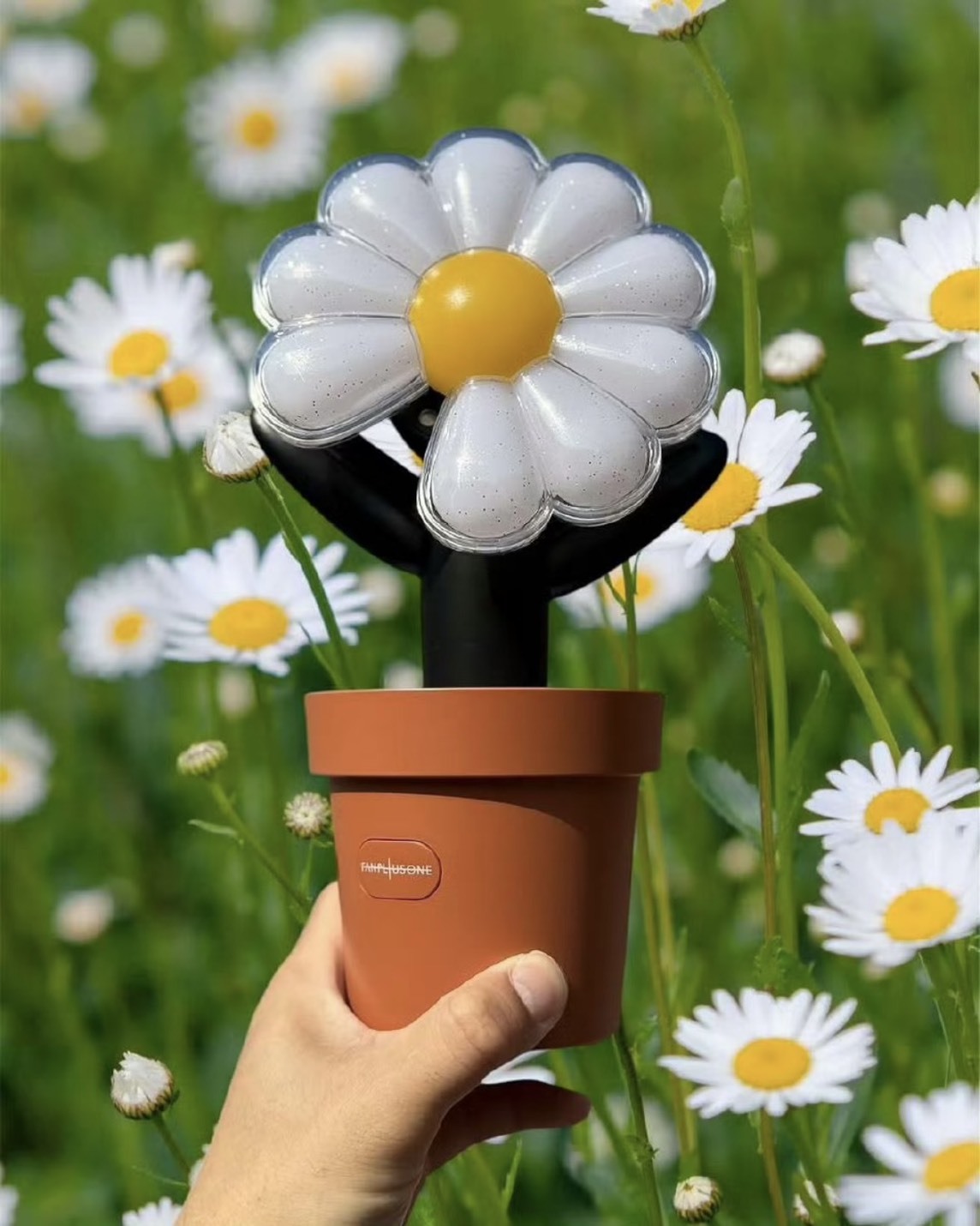 iSNEAKERS｜權志龍 G-DRAGON 官方應援棒 官方手燈 雛菊手燈+盆栽 OFFICIAL LIGHT STICK