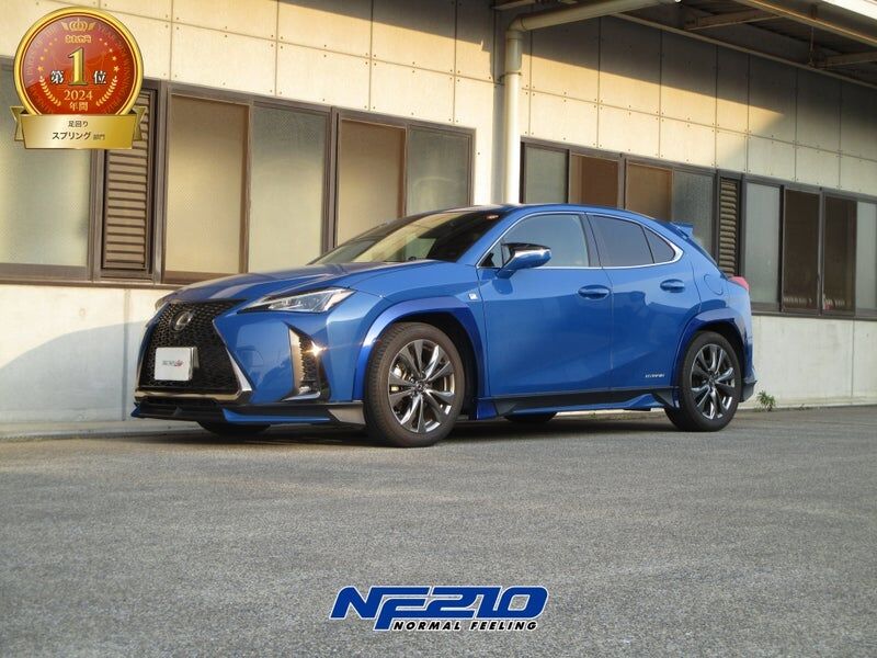 TANABE NF210 短彈簧組 LEXUS UX250h 2019-