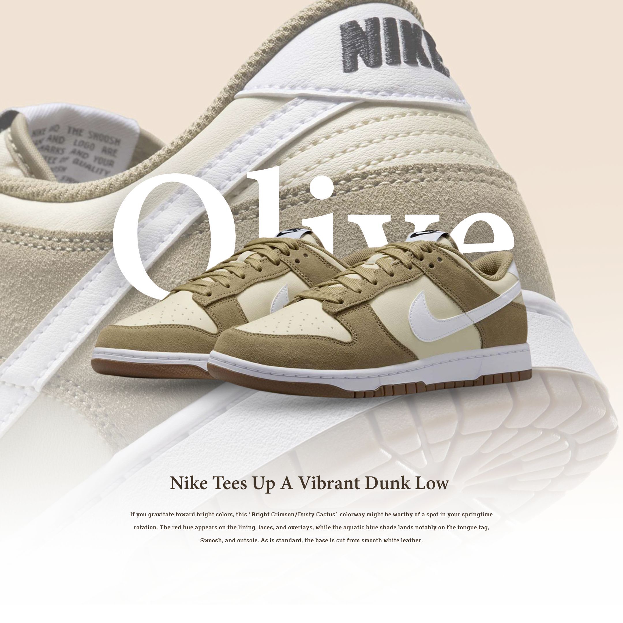 NICEDAY 代購 Nike Dunk Low 橄欖綠 橄欖 棕色 棕綠 卡其綠 麂皮 男鞋 IB6399-200