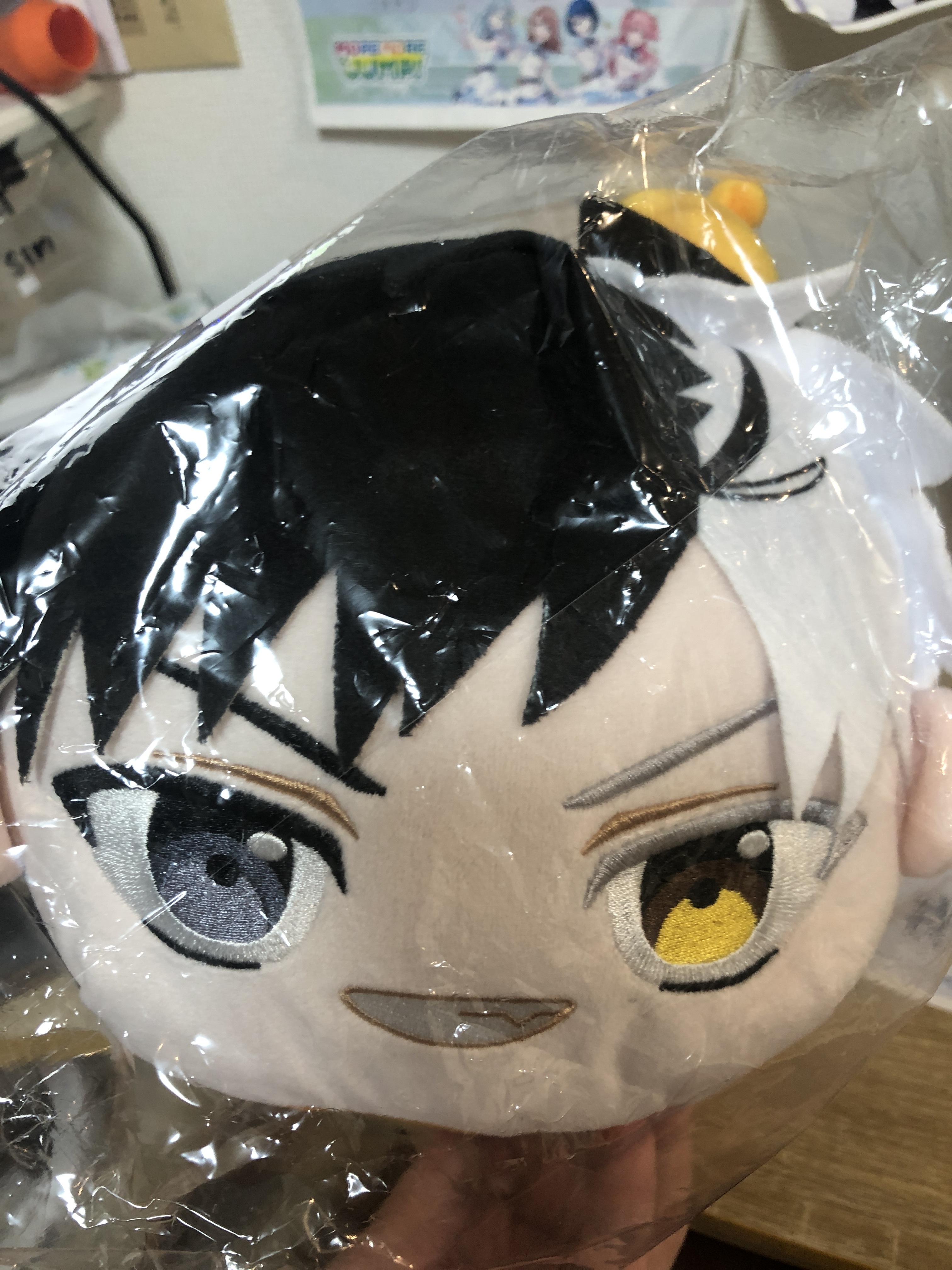 WIND BREAKER 櫻遙 公仔#303