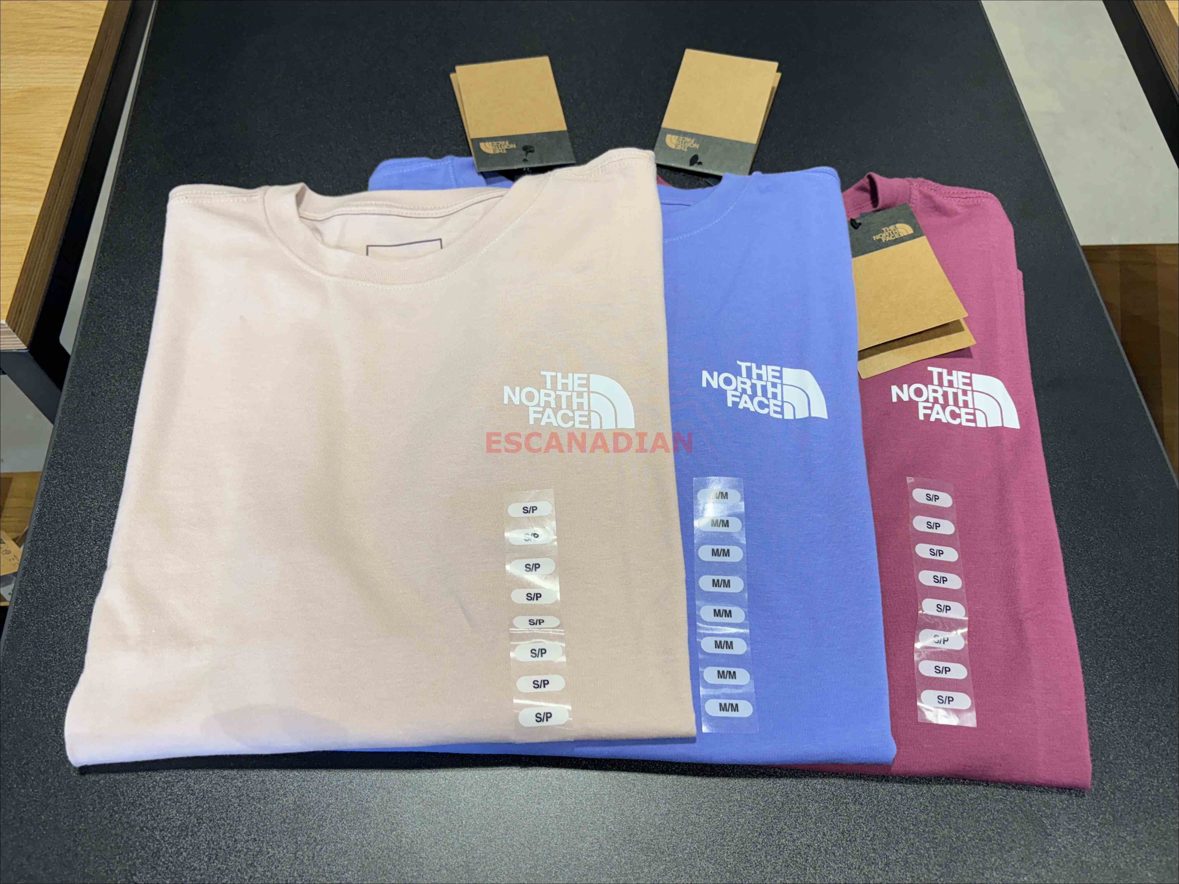 THE NORTH FACE 女大人 經典正反Logo 短TEE (3色) (前小後大)