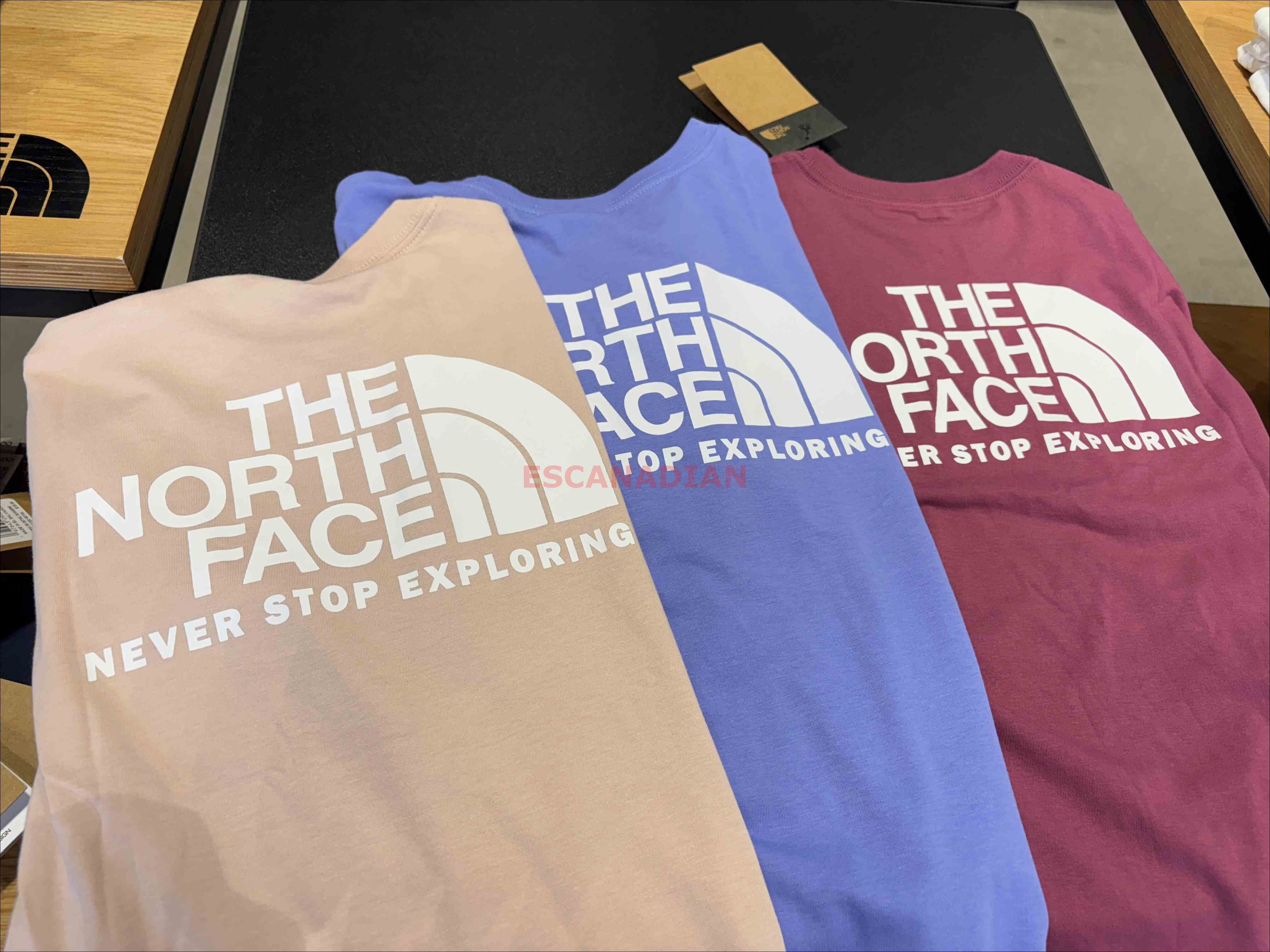 THE NORTH FACE 女大人 經典正反Logo 短TEE (3色) (前小後大)