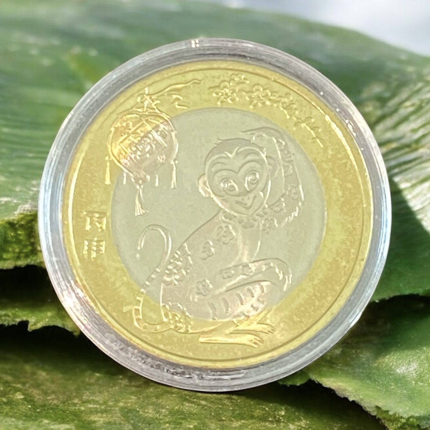 Chinese 2016 Year of the Monkey, Commemorative Coin (Second Set) can be purchased in multiples