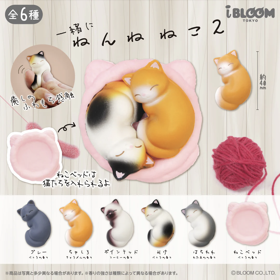 【現貨】軟綿綿 窩在一起睡覺的小貓扭蛋 (全6種)