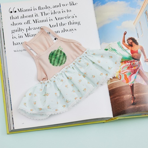 Louisdog 泳池派對西瓜連身裙