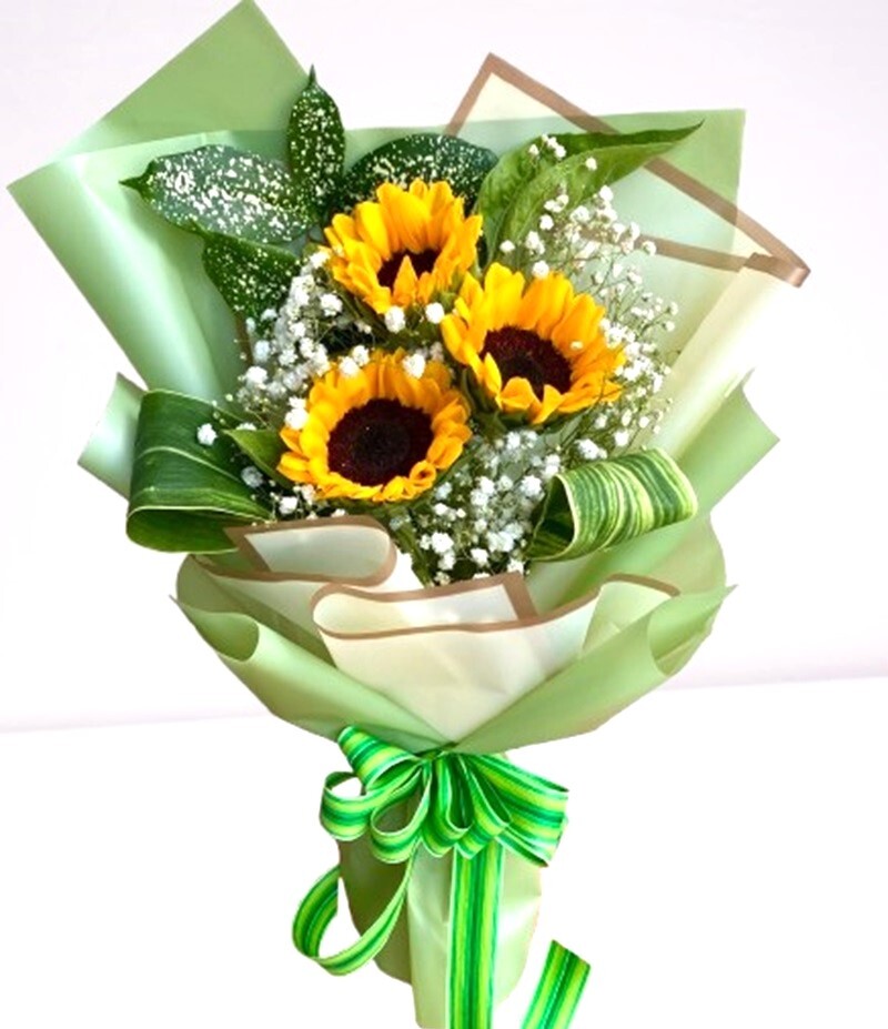 HHB38C⭐⭐⭐⭐⭐FREE DELIVERY