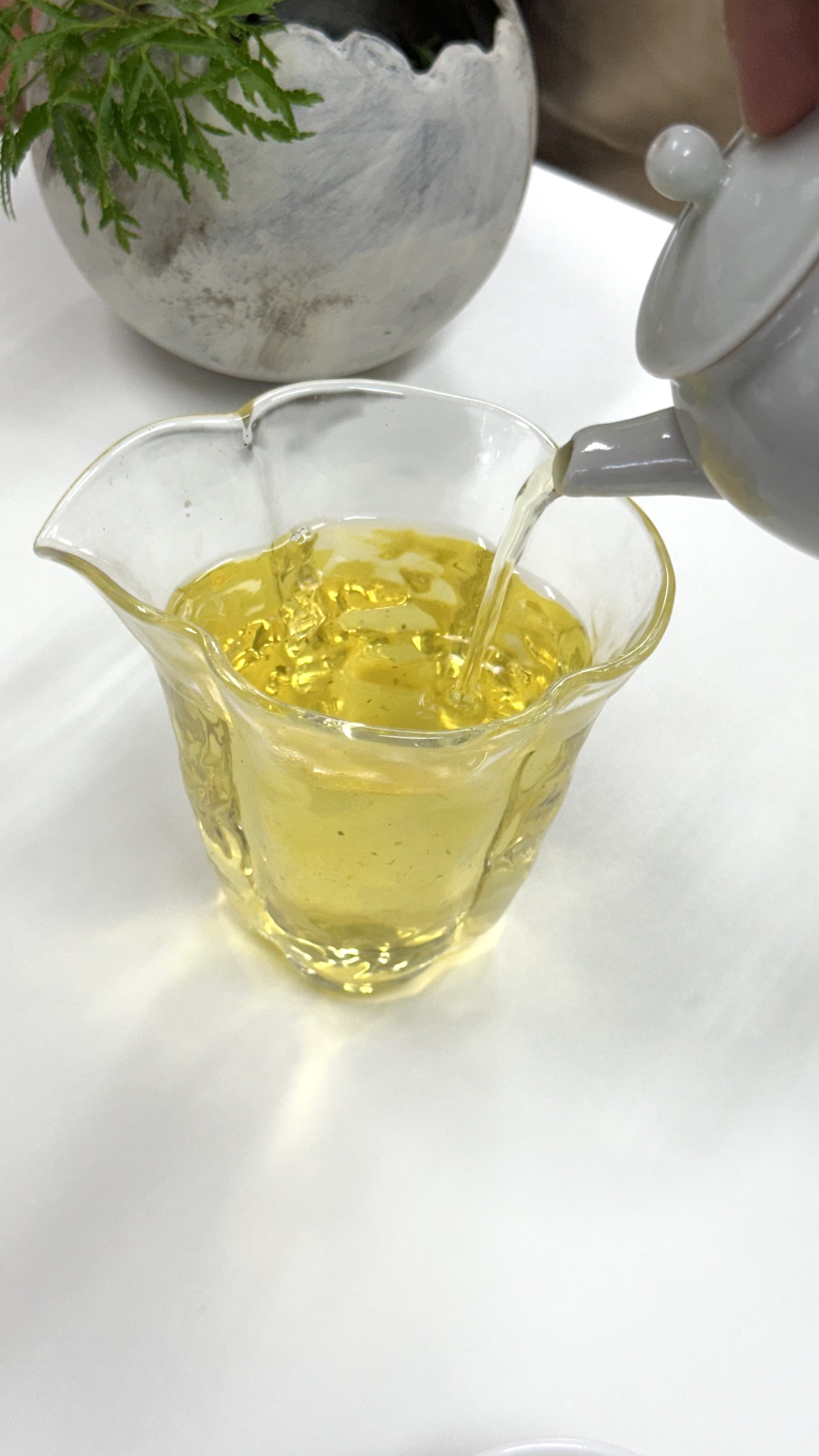 大禹嶺 90K 75公克