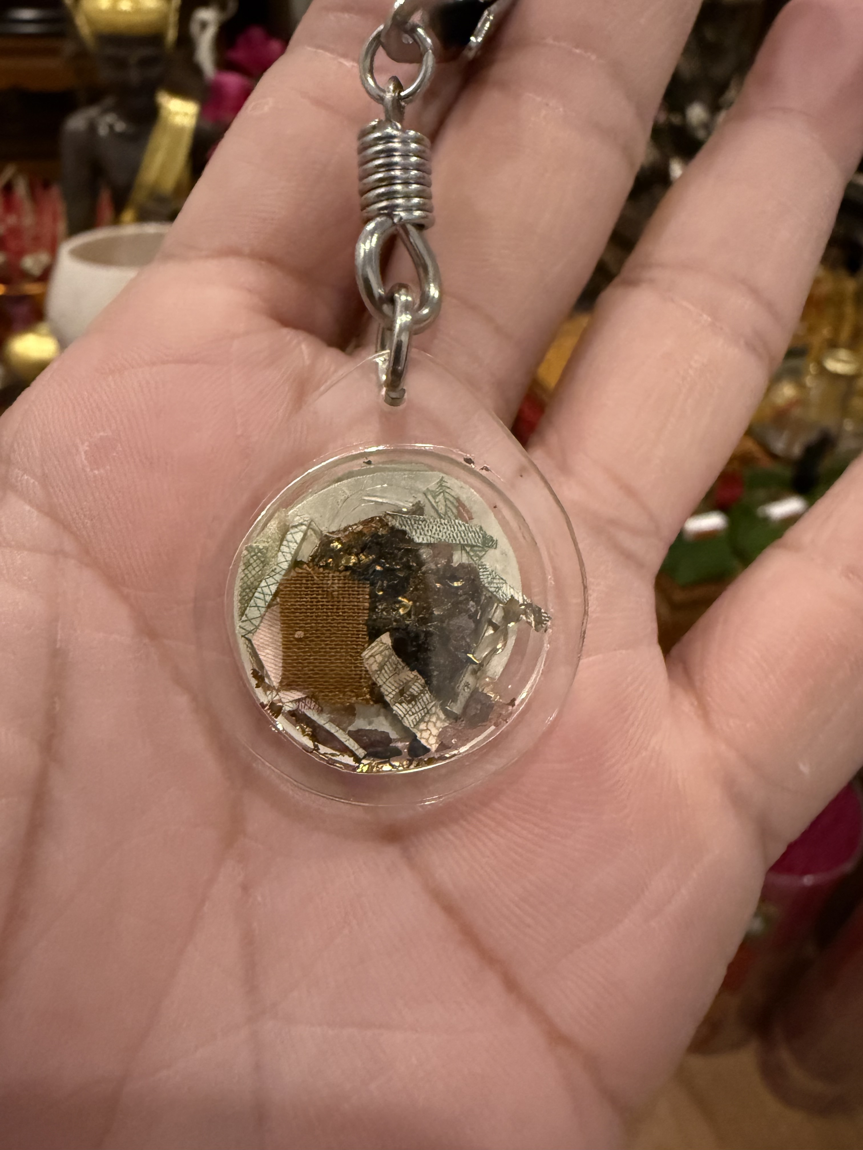 古巴門 貓碌葛（KE31）