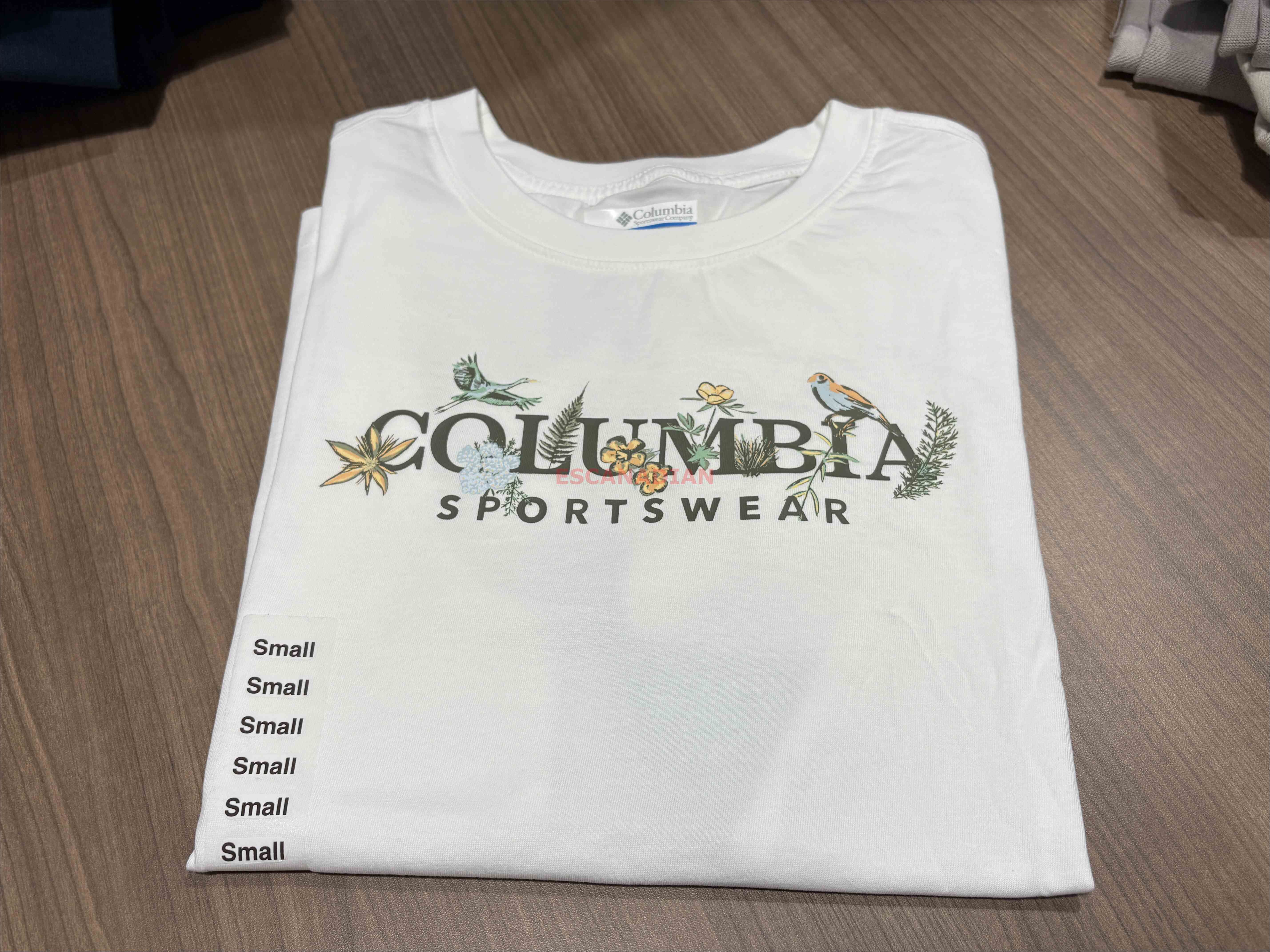 Columbia  女大人 經典字樣 短TEE
