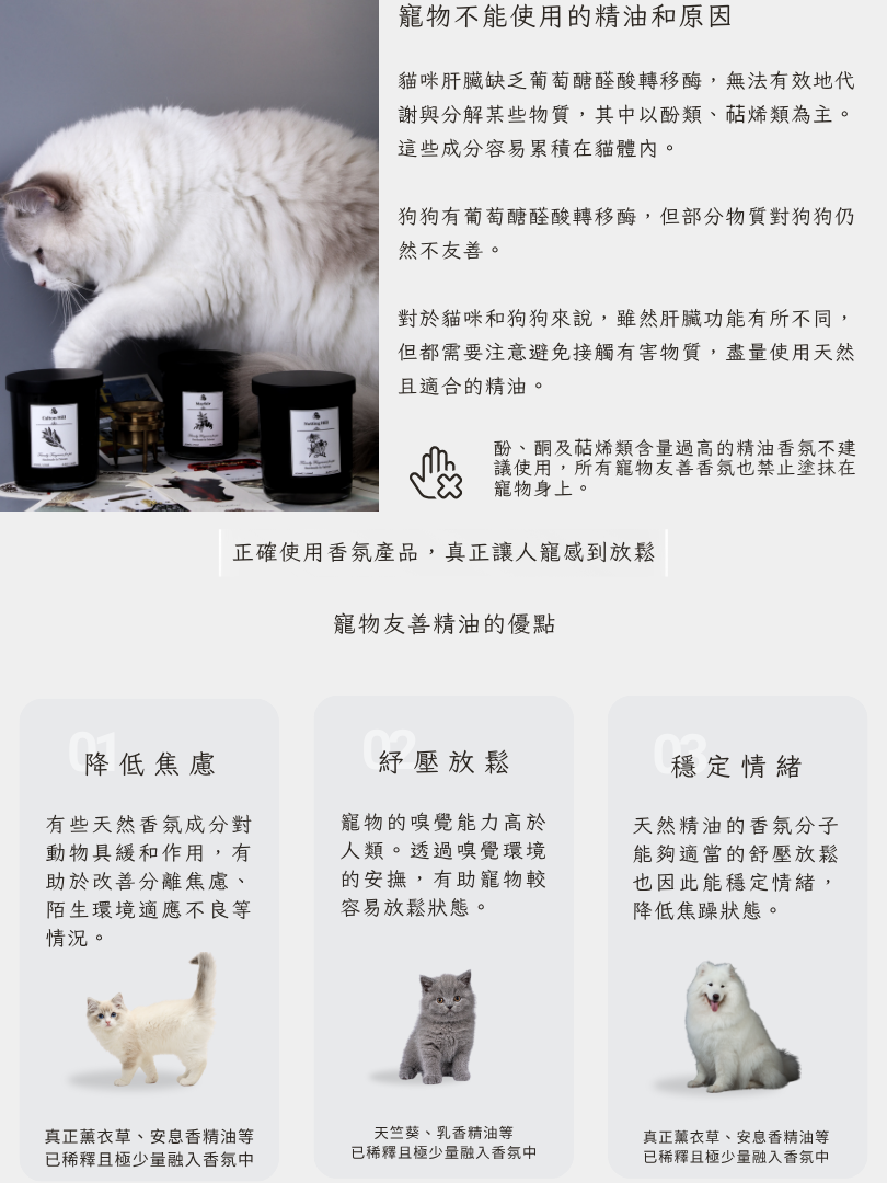 有貓咪和精油