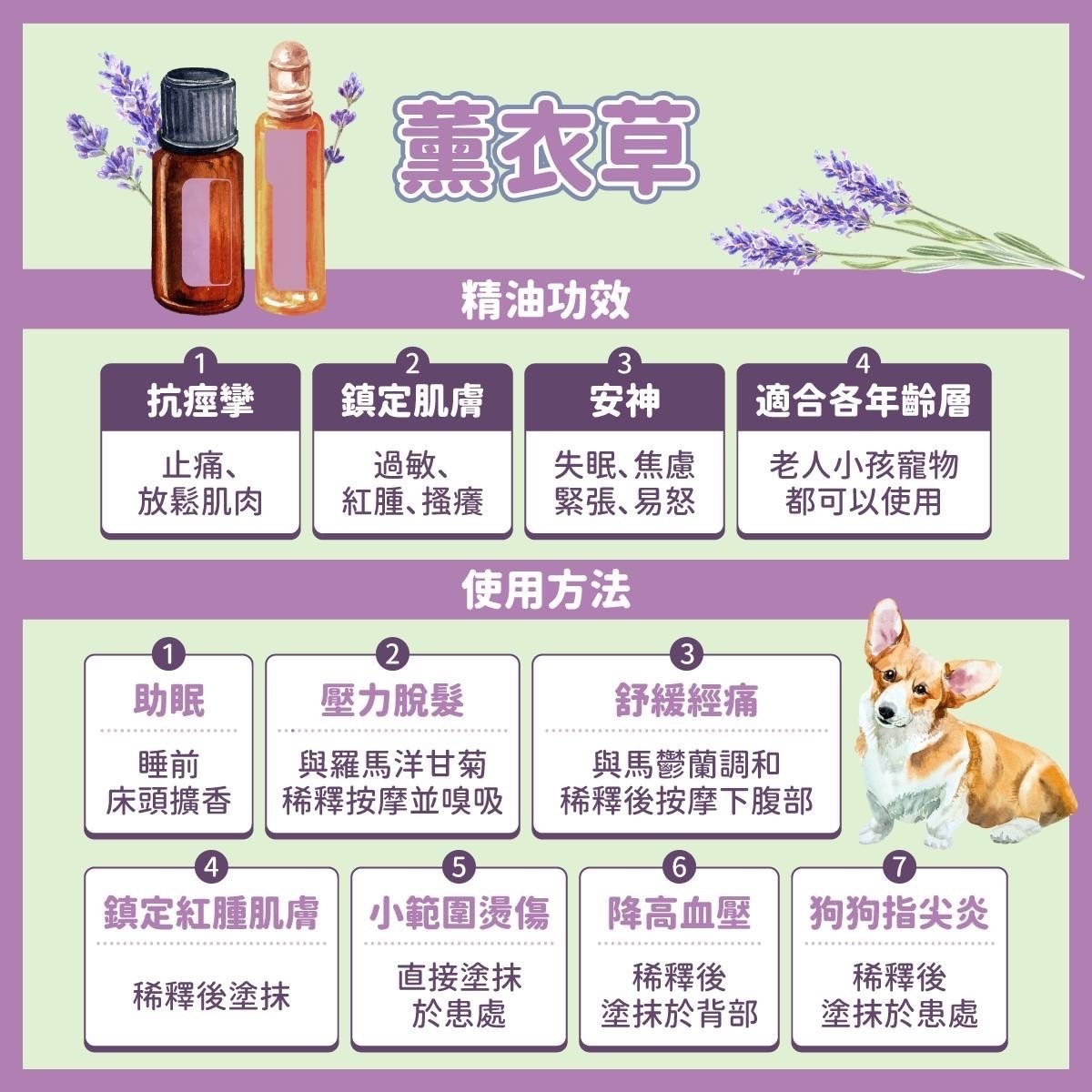 【BOGO Day 1｜買薰衣草送安定平衡】-0315