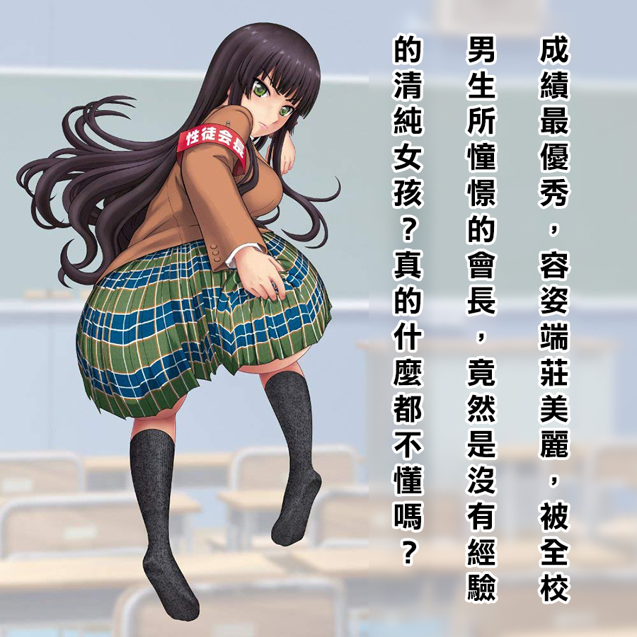 性徒會長,R20,R20 自慰套,toys heart,對子哈特,動漫自慰套,動漫飛機杯,二次元飛機杯,二次元自慰套