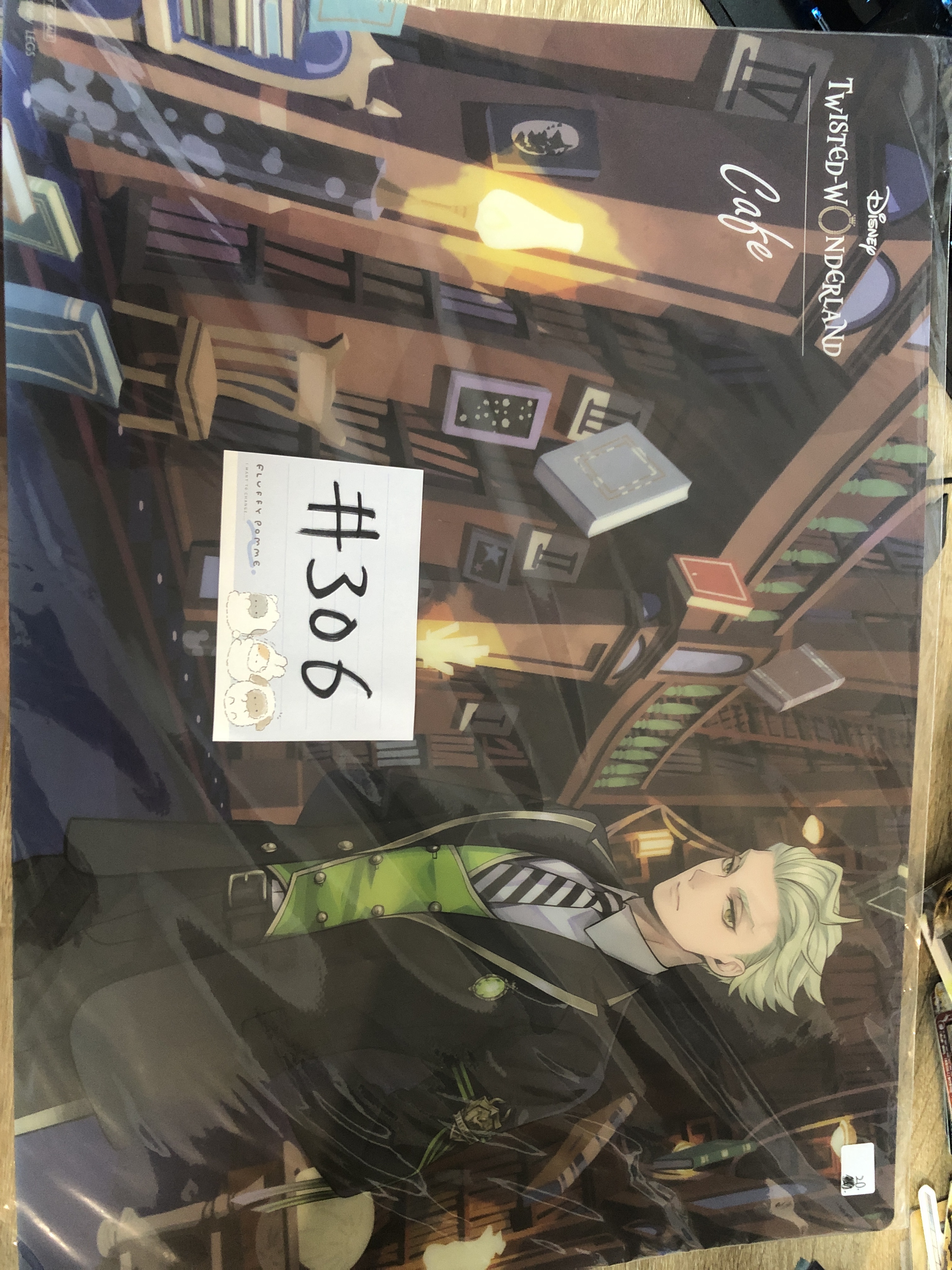 TWST SEBEK 膠墊#306